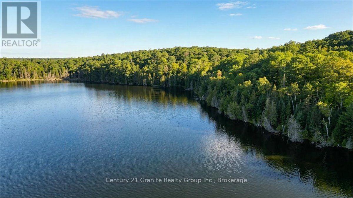 2128 Old Hastings Road, Wollaston, Ontario  K0L 2L0 - Photo 28 - X13728014