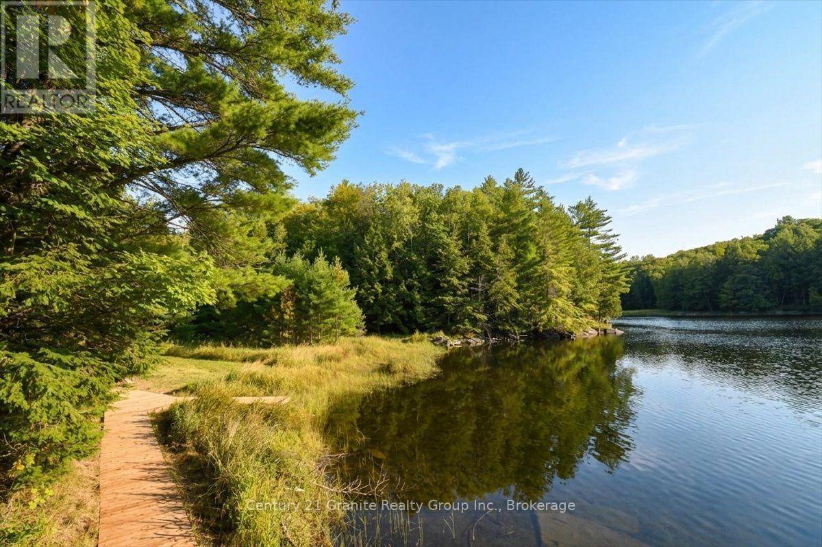 2128 Old Hastings Road, Wollaston, Ontario  K0L 2L0 - Photo 41 - X13728014