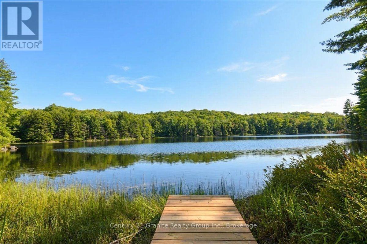 2128 Old Hastings Road, Wollaston, Ontario  K0L 2L0 - Photo 43 - X13728014