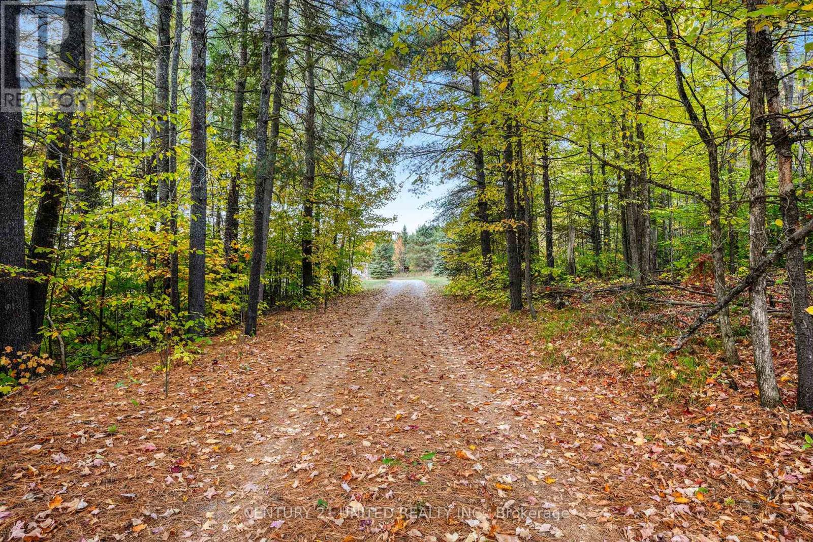 31 Mclean Road, Hastings Highlands (Monteagle Ward), Ontario  K0L 2R0 - Photo 3 - X13728026