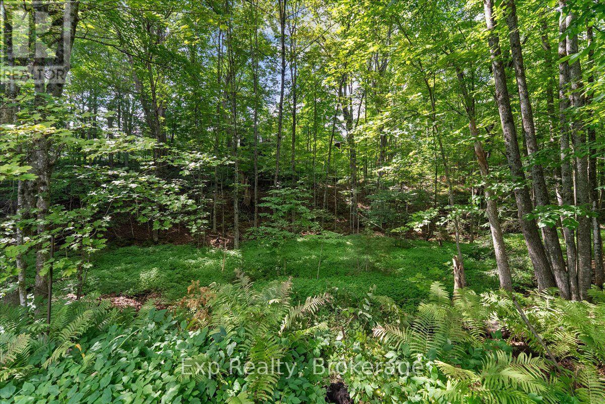 26 Sherbourne Street N, Bancroft (Bancroft Ward), Ontario  K0L 1C0 - Photo 41 - X13730376