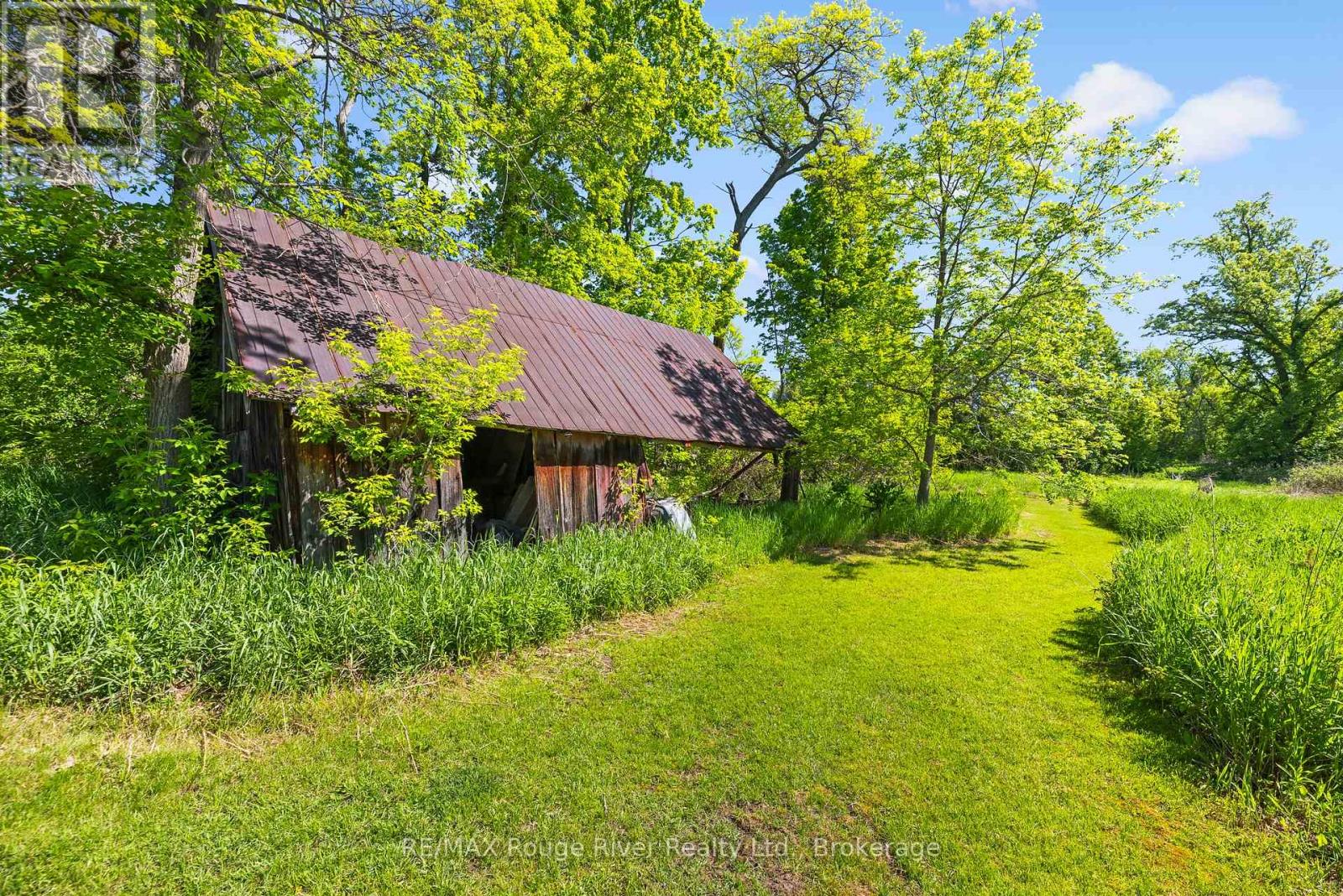 2407 Indian River Line, Otonabee-South Monaghan, Ontario  K0L 2B0 - Photo 10 - X13730760