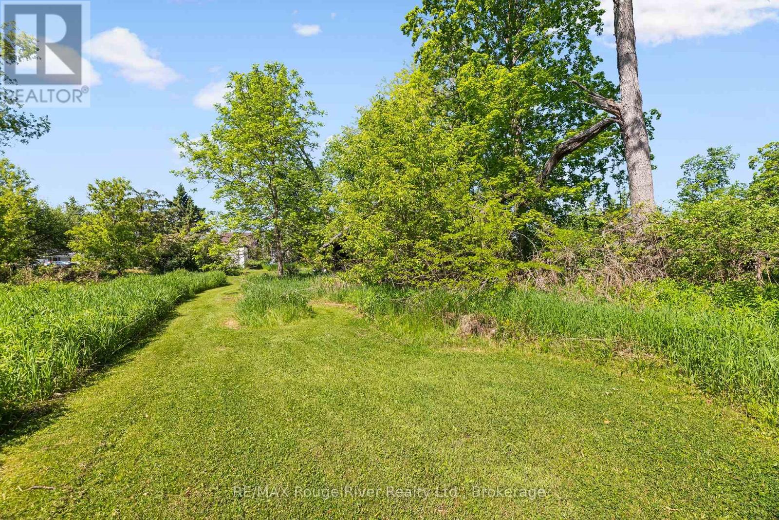 2407 Indian River Line, Otonabee-South Monaghan, Ontario  K0L 2B0 - Photo 11 - X13730760