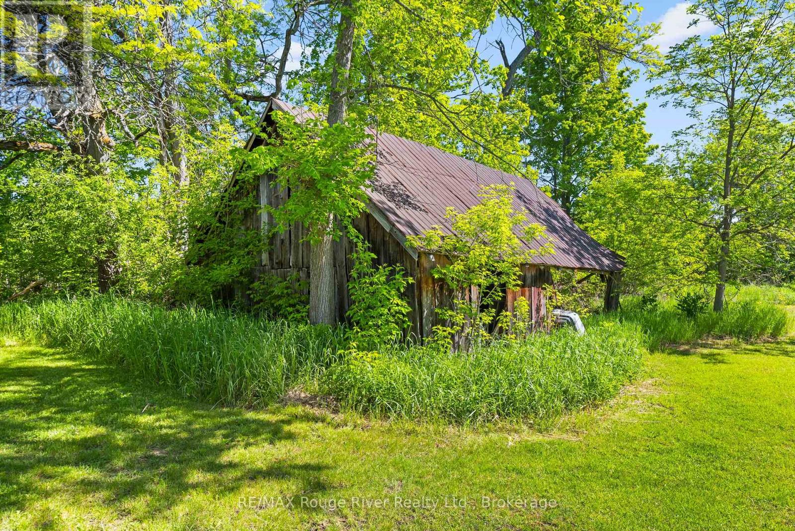 2407 Indian River Line, Otonabee-South Monaghan, Ontario  K0L 2B0 - Photo 9 - X13730760