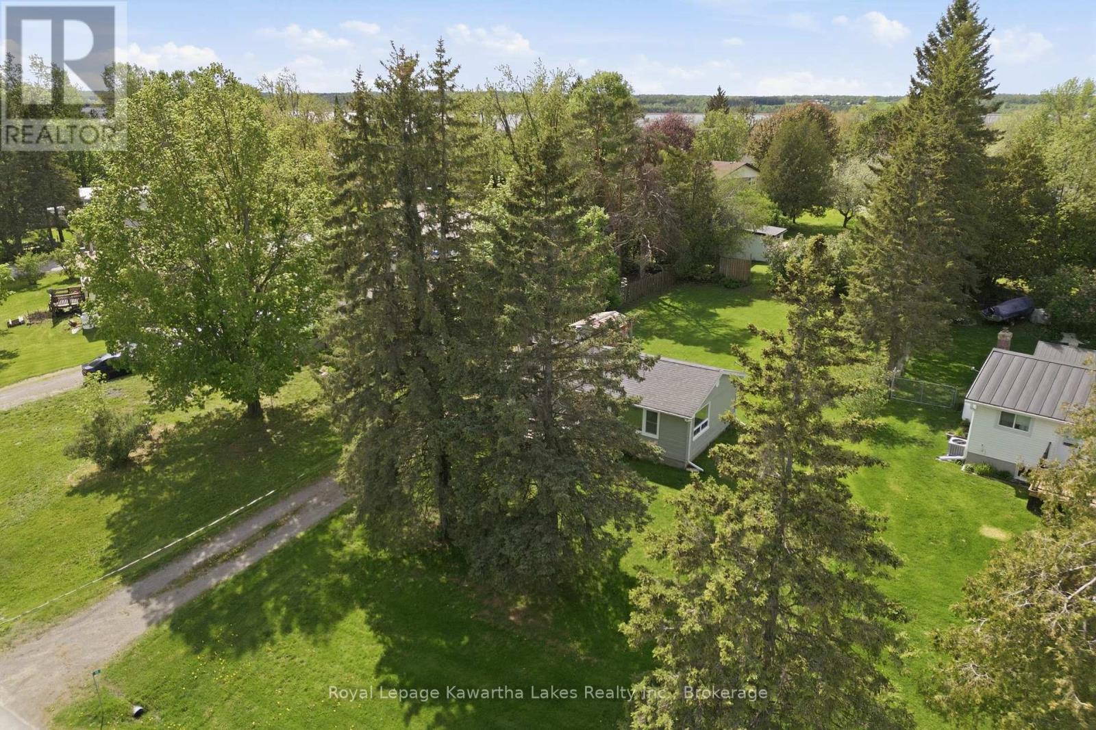 16 Marilyn Crescent, Kawartha Lakes (Emily), Ontario  K0L 1T0 - Photo 5 - X13731548