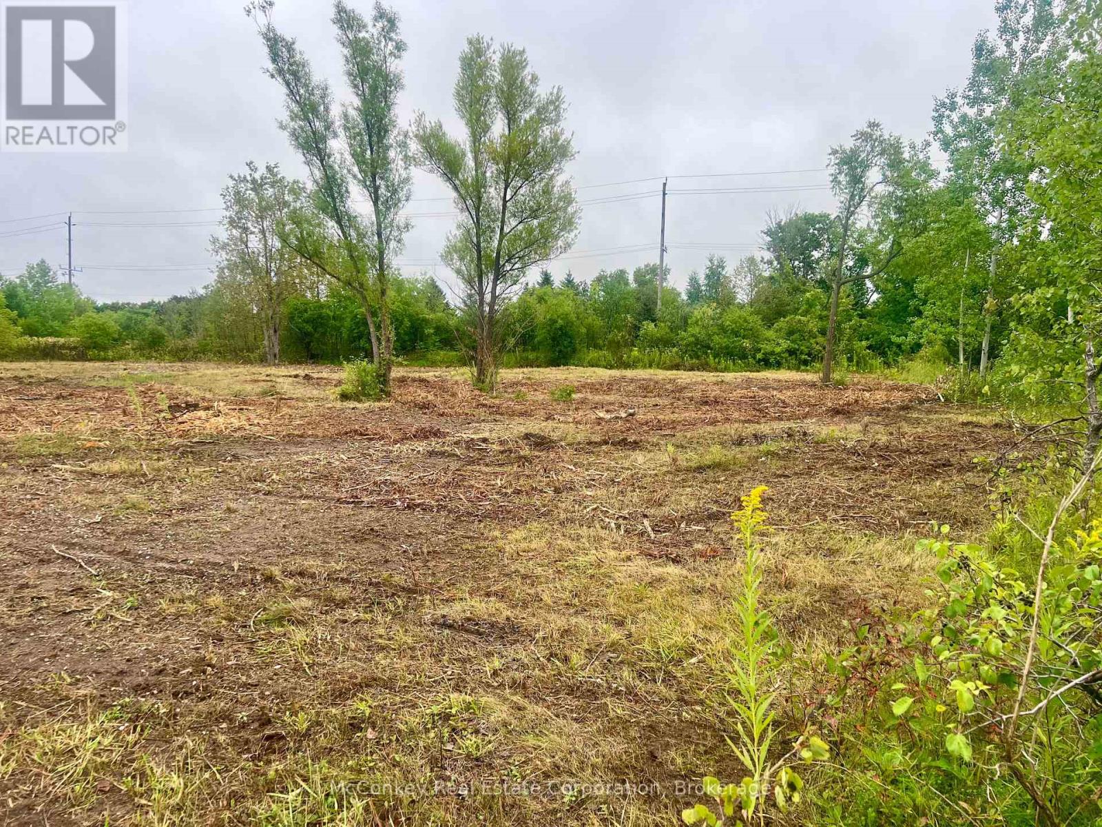 625 Queensway Court, Peterborough (Otonabee Ward 1), Ontario  K9J 7V6 - Photo 13 - X13732582