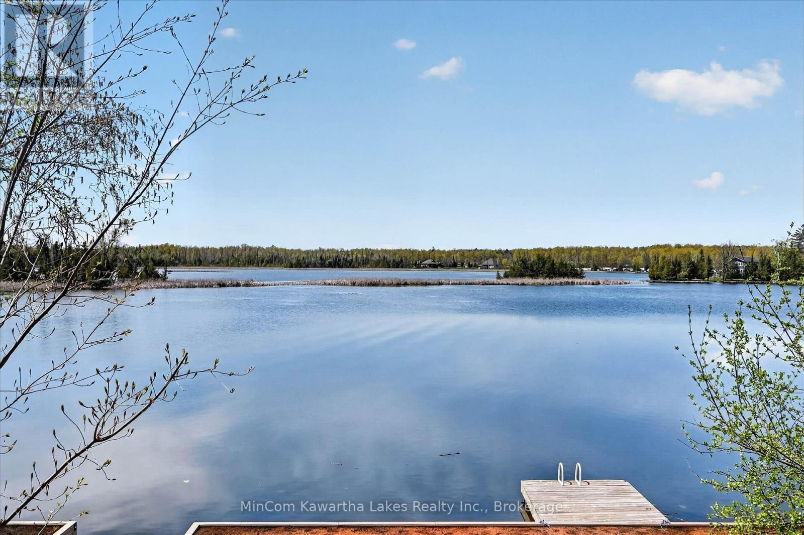 54 Woodland Trail, Trent Lakes, Ontario  K0L 1J0 - Photo 8 - X13733438
