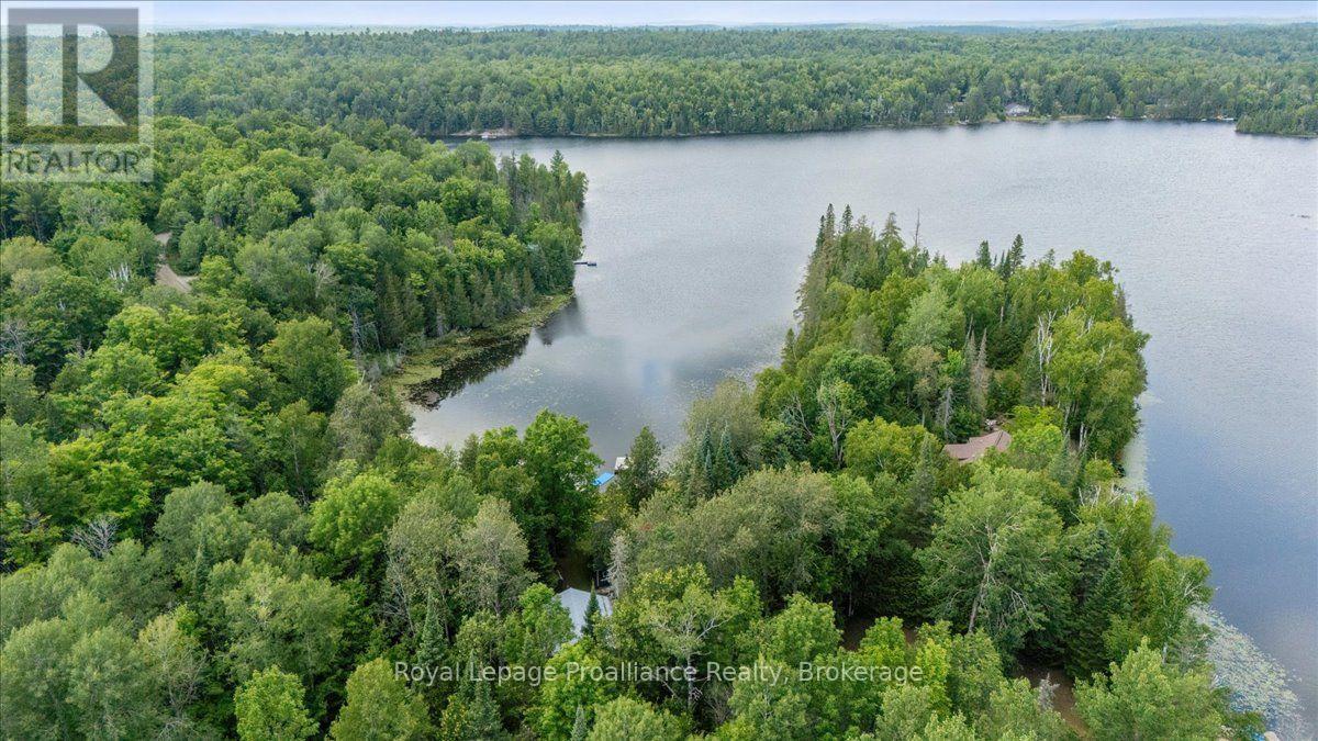 17 Halcomb Lane, Limerick, Ontario  K0L 1P0 - Photo 4 - X13736820