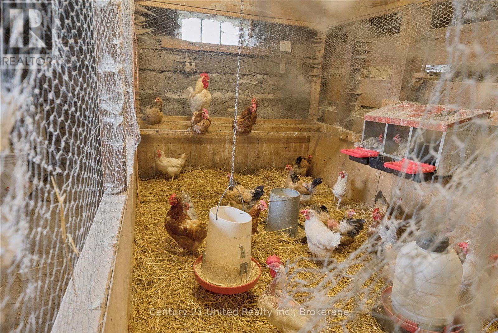 15710 County Rd 29, Brighton, Ontario  K0L 1L0 - Photo 42 - X13737186