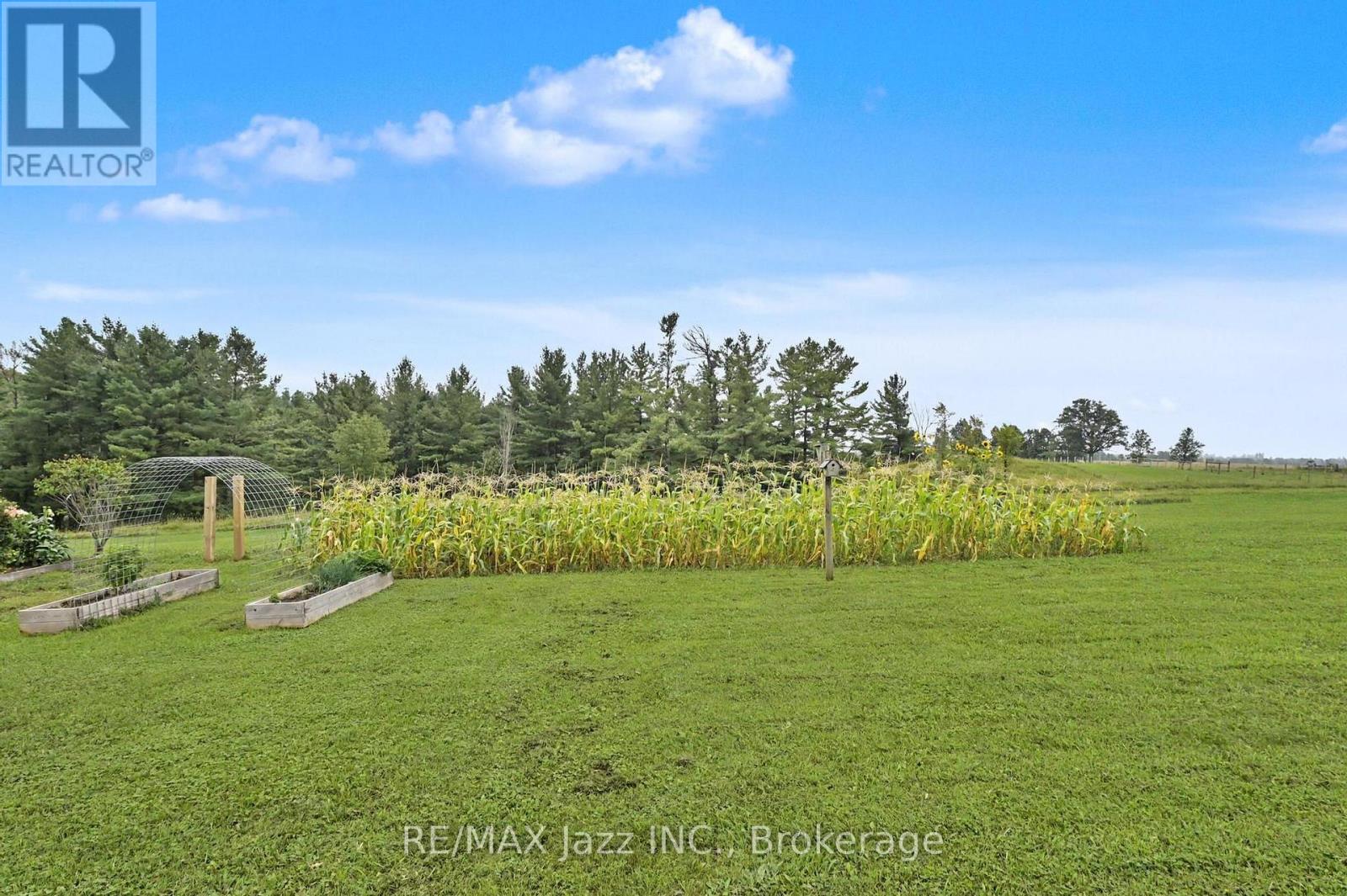 753 Syer 8th Line, Cavan Monaghan (Cavan Twp), Ontario  L0A 1C0 - Photo 20 - X13740502