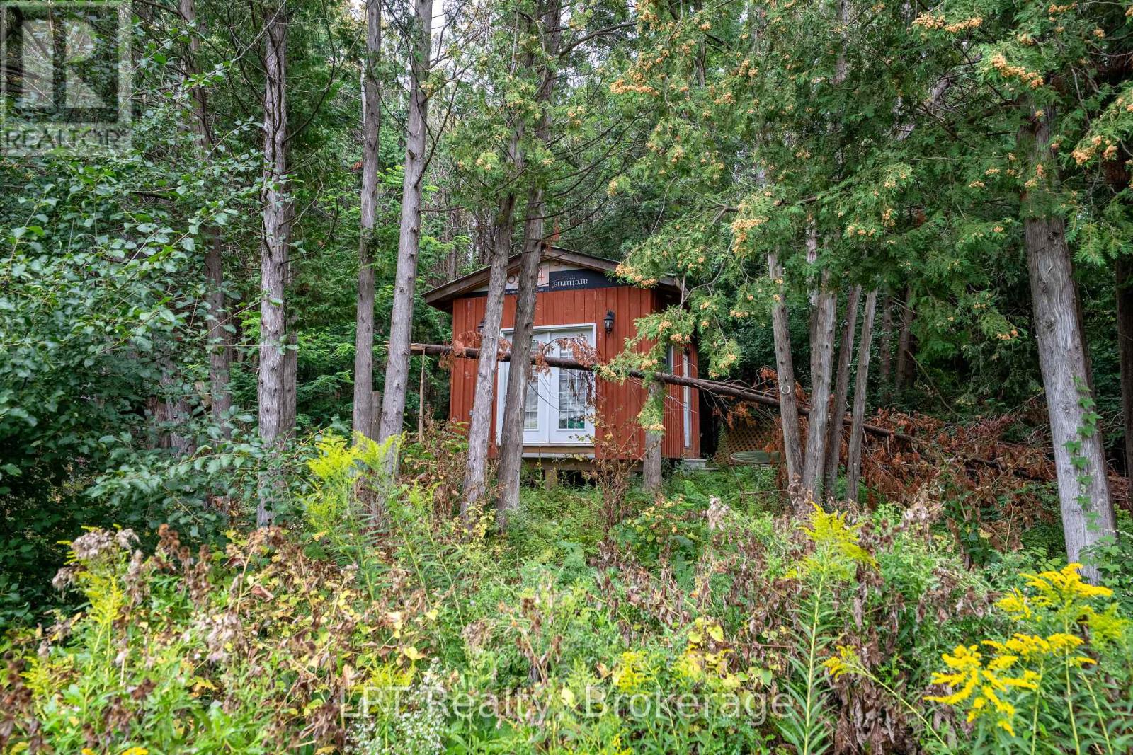 1201 Meadowview Road, Kawartha Lakes (Emily), Ontario  K0L 2W0 - Photo 38 - X13741906
