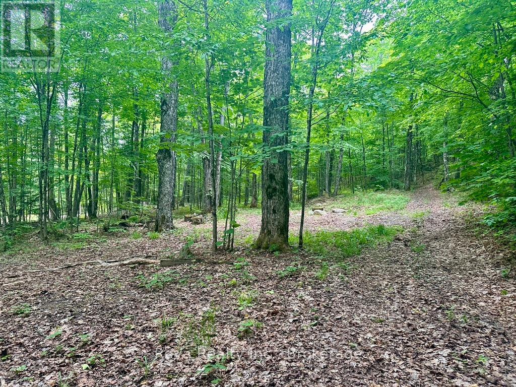 219 Elgin Road, Hastings Highlands (Mcclure Ward), Ontario  K0L 2K0 - Photo 19 - X13743470