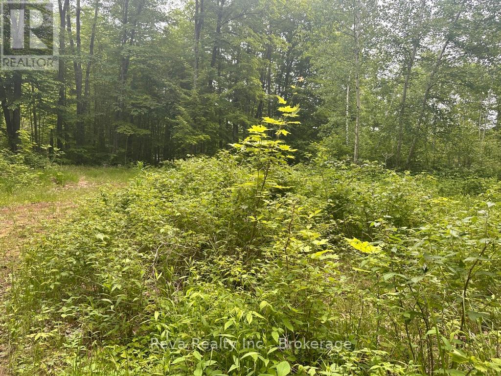 219 Elgin Road, Hastings Highlands (Mcclure Ward), Ontario  K0L 2K0 - Photo 21 - X13743470