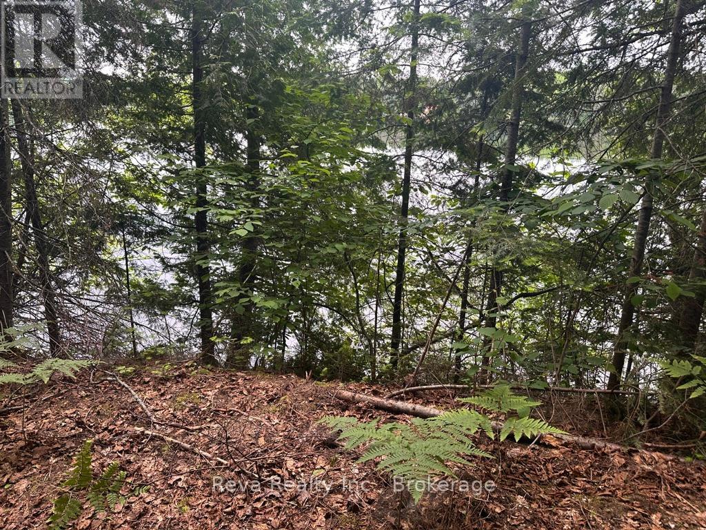 219 Elgin Road, Hastings Highlands (Mcclure Ward), Ontario  K0L 2K0 - Photo 24 - X13743470