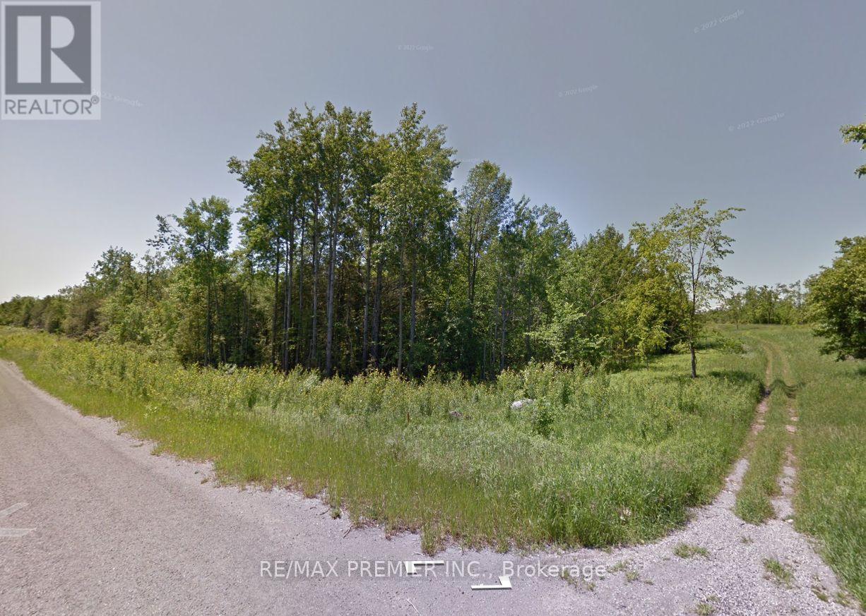 11 Timberland Drive, Trent Hills, Ontario  K0L 1Z0 - Photo 3 - X13743458