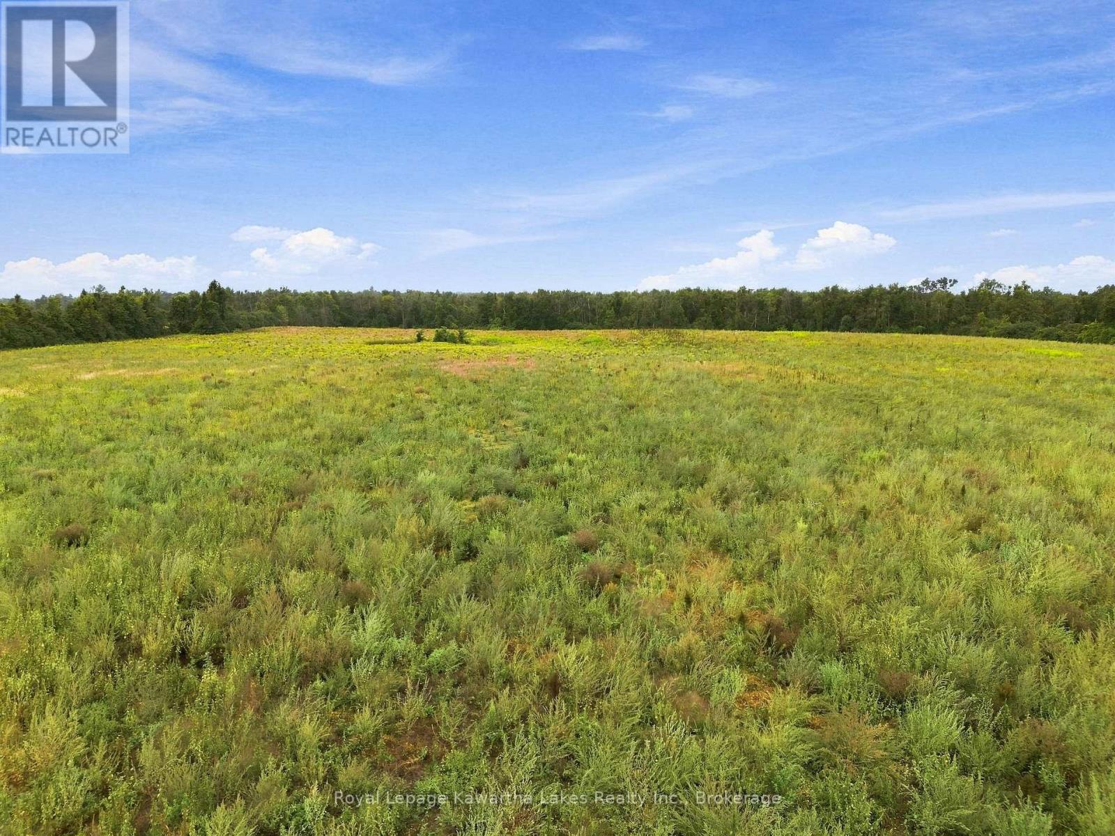 583 Hillhead Road, Kawartha Lakes (Ops), Ontario  K0L 2X0 - Photo 10 - X13745238