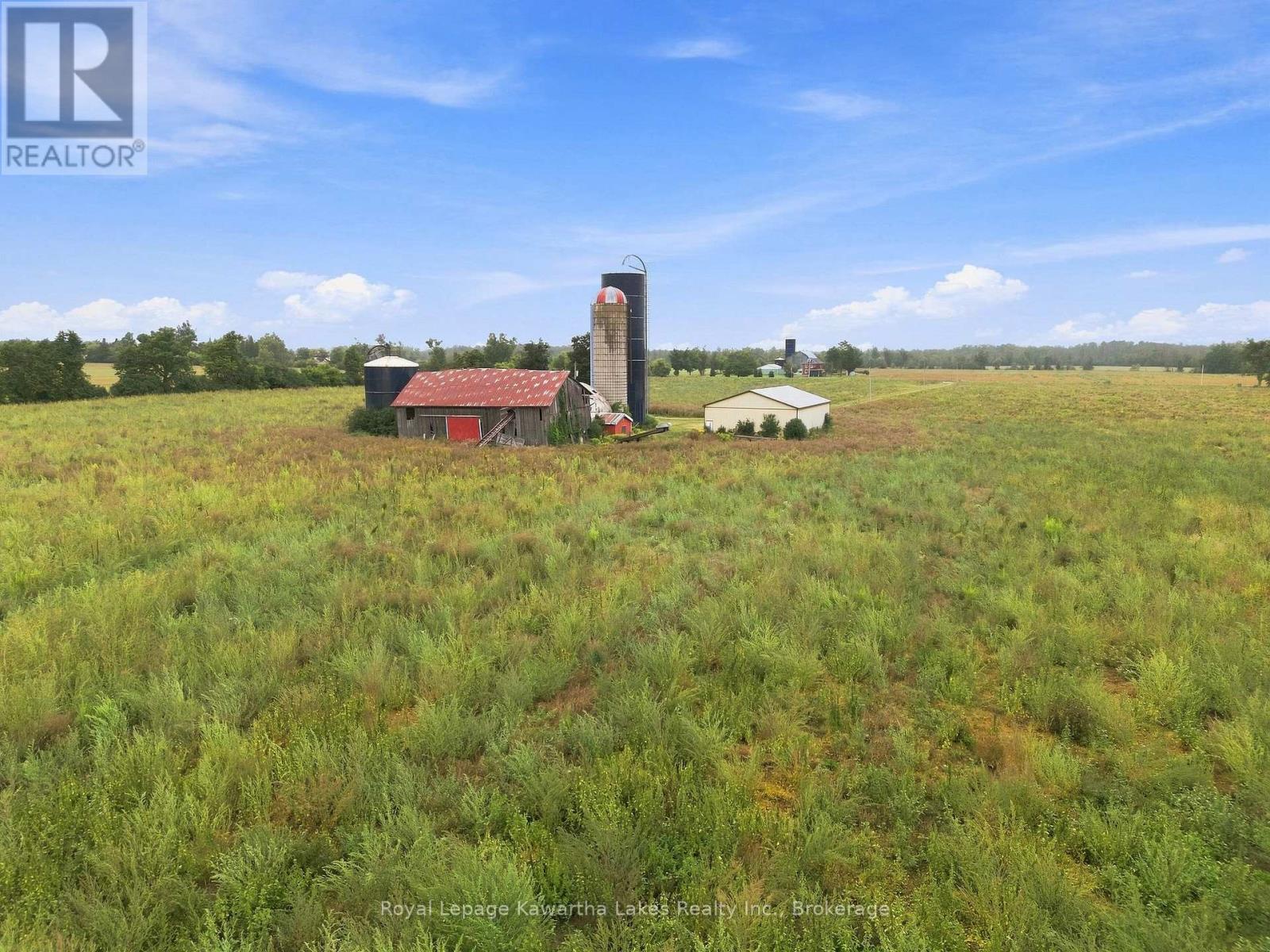 583 Hillhead Road, Kawartha Lakes (Ops), Ontario  K0L 2X0 - Photo 11 - X13745238