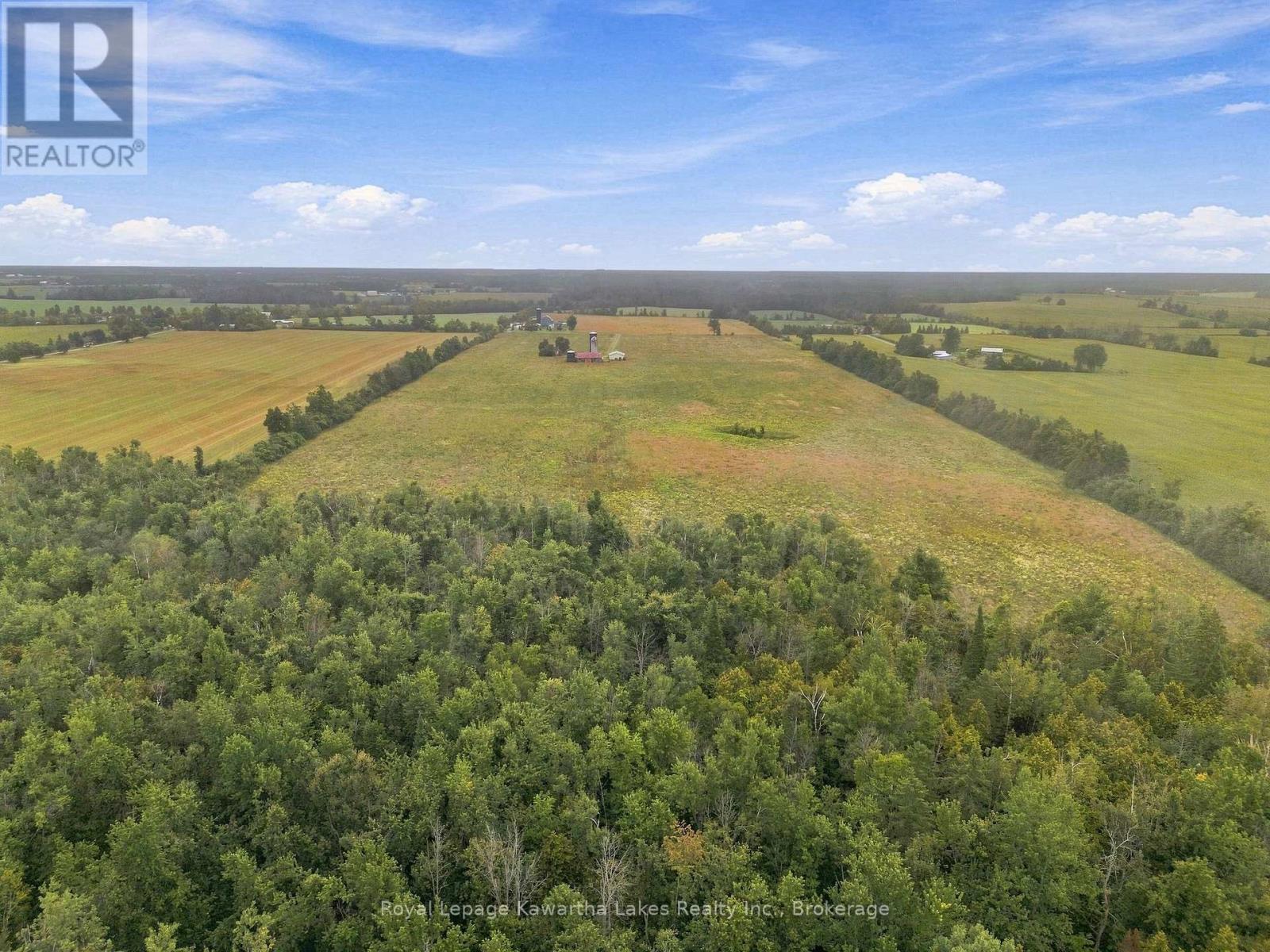583 Hillhead Road, Kawartha Lakes (Ops), Ontario  K0L 2X0 - Photo 12 - X13745238