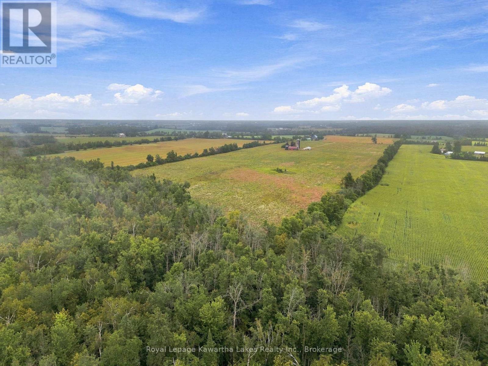 583 Hillhead Road, Kawartha Lakes (Ops), Ontario  K0L 2X0 - Photo 13 - X13745238