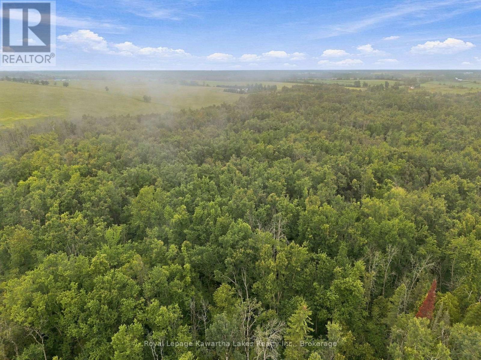 583 Hillhead Road, Kawartha Lakes (Ops), Ontario  K0L 2X0 - Photo 14 - X13745238