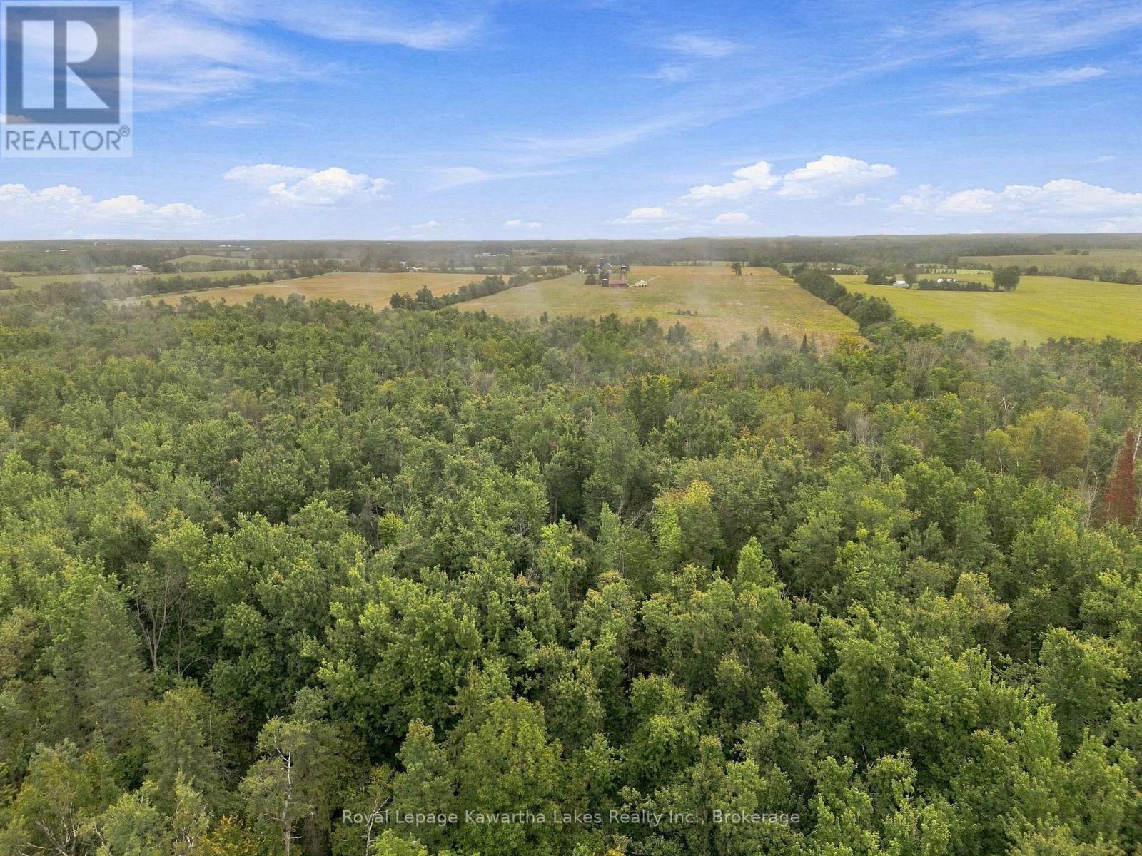 583 Hillhead Road, Kawartha Lakes (Ops), Ontario  K0L 2X0 - Photo 15 - X13745238