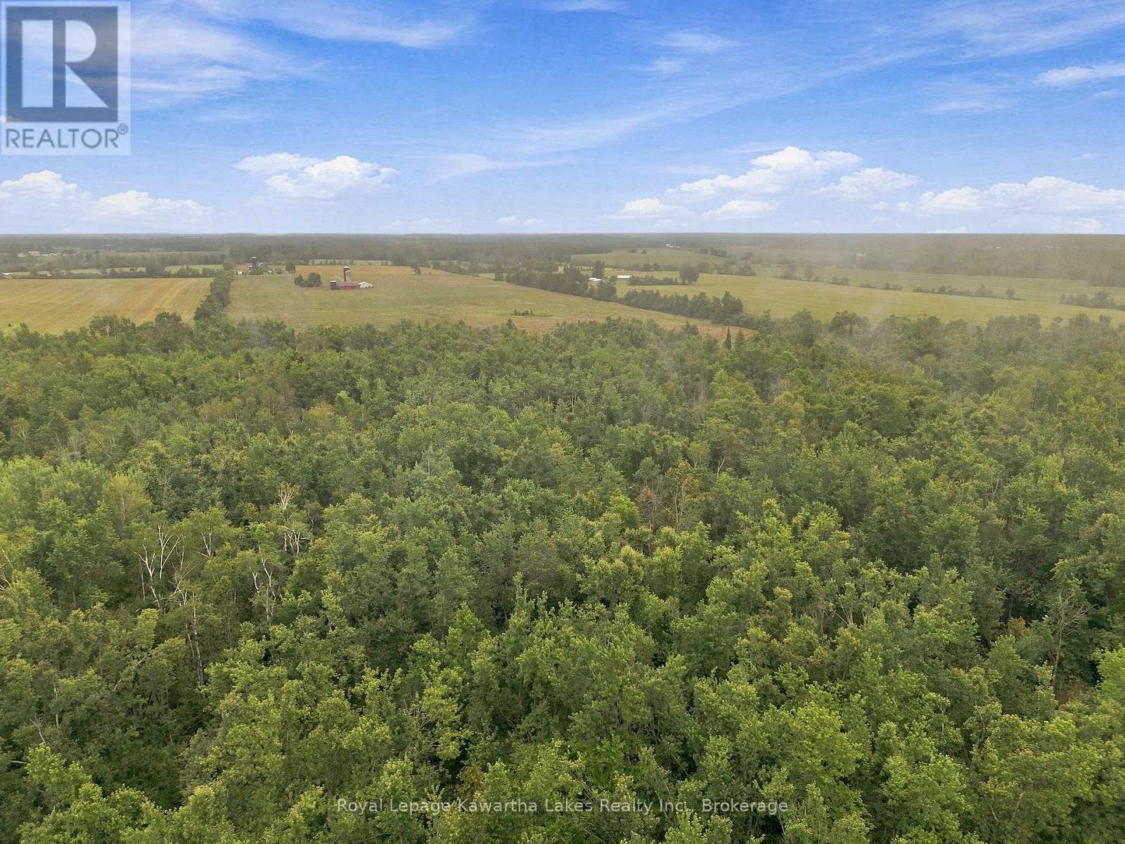 583 Hillhead Road, Kawartha Lakes (Ops), Ontario  K0L 2X0 - Photo 16 - X13745238
