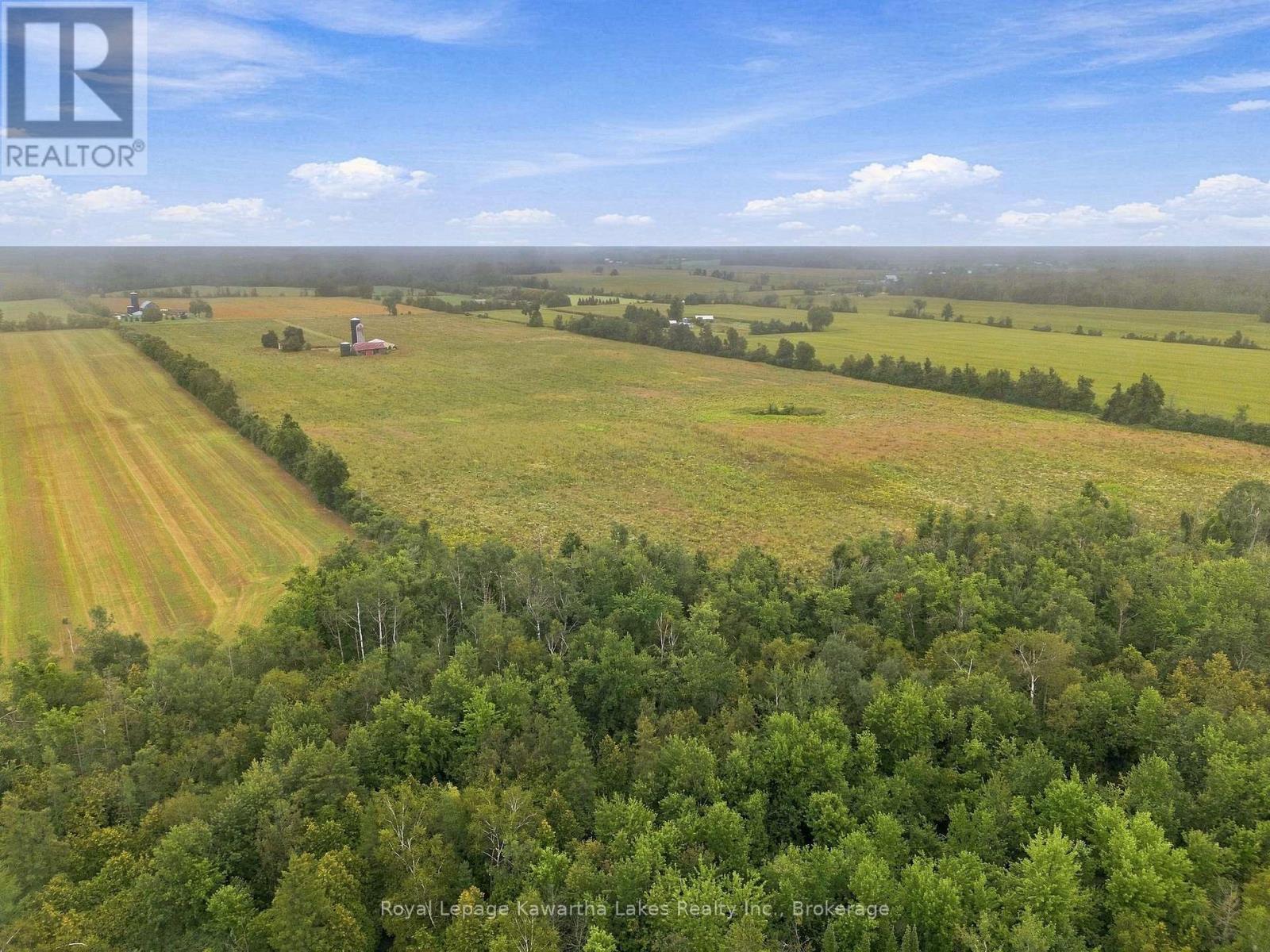 583 Hillhead Road, Kawartha Lakes (Ops), Ontario  K0L 2X0 - Photo 17 - X13745238