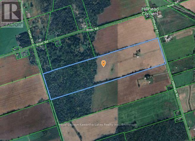 583 Hillhead Road, Kawartha Lakes (Ops), Ontario  K0L 2X0 - Photo 27 - X13745238