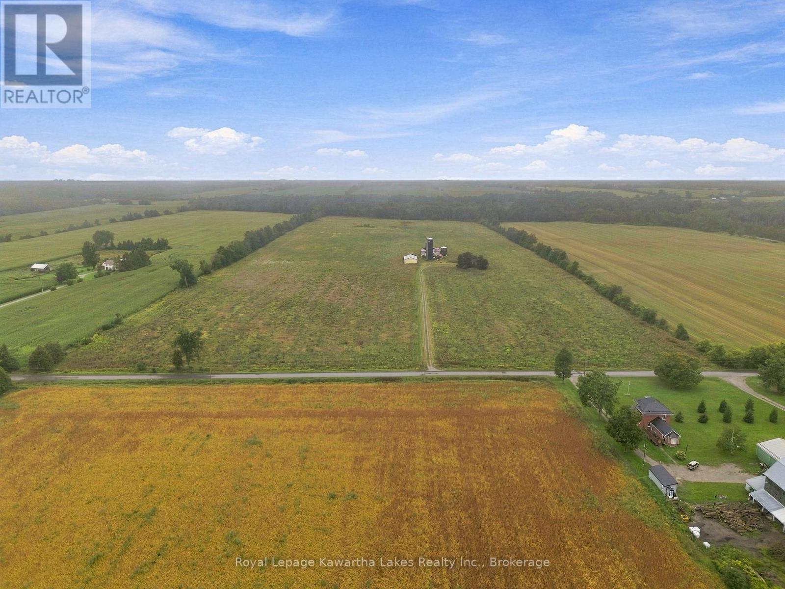 583 Hillhead Road, Kawartha Lakes (Ops), Ontario  K0L 2X0 - Photo 4 - X13745238