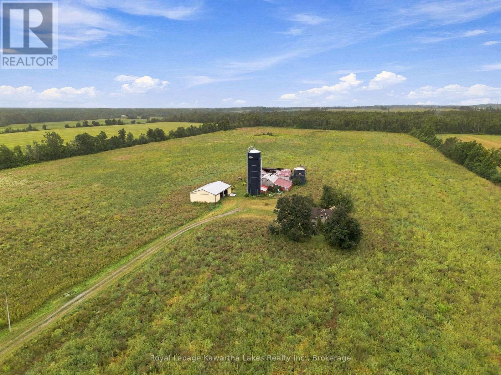 583 Hillhead Road, Kawartha Lakes (Ops), Ontario  K0L 2X0 - Photo 5 - X13745238