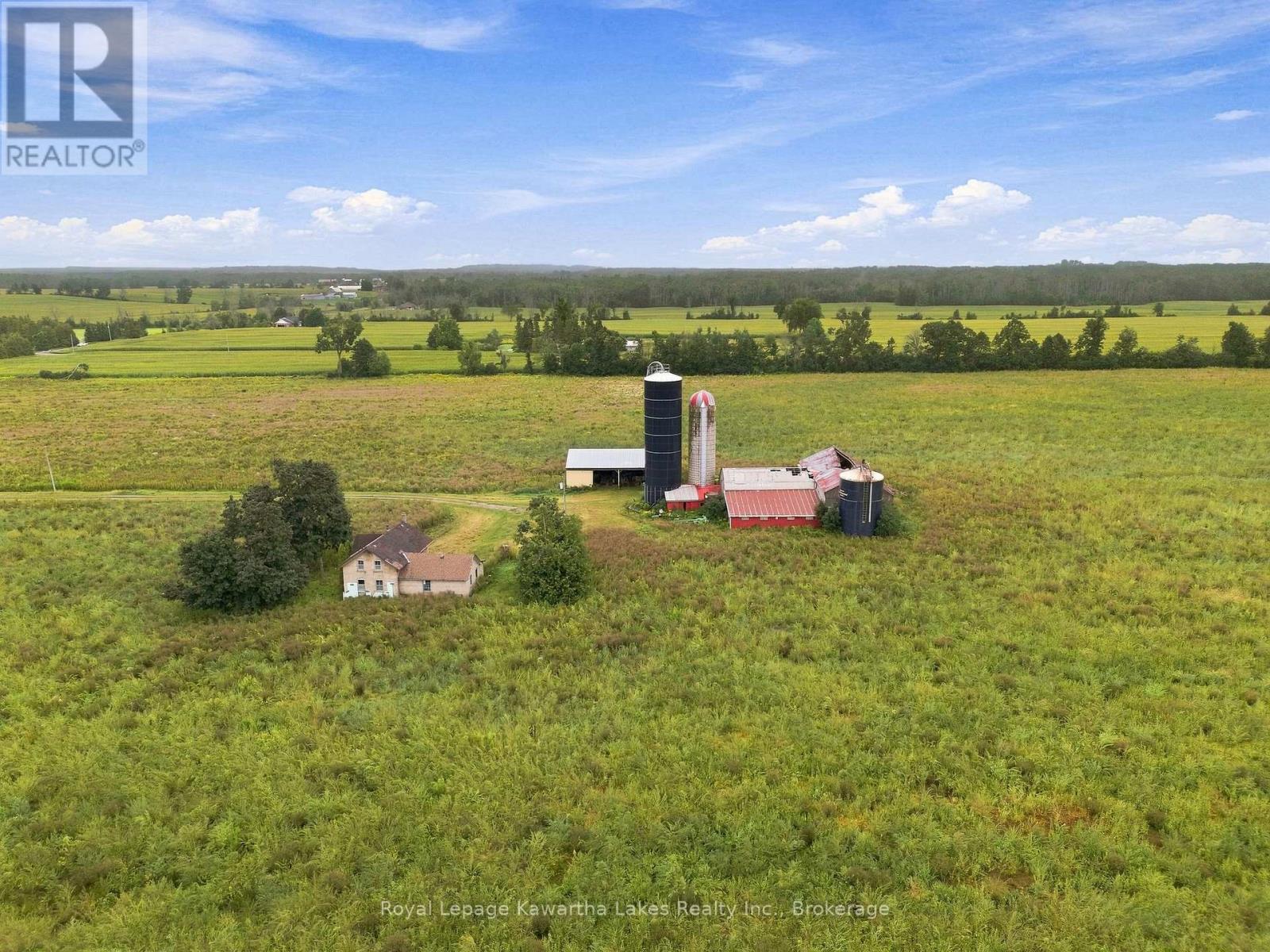 583 Hillhead Road, Kawartha Lakes (Ops), Ontario  K0L 2X0 - Photo 6 - X13745238