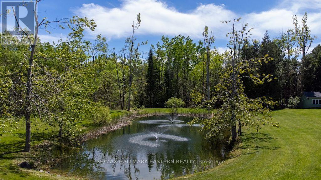 615 Edenderry Line, Selwyn, Ontario  K0L 1T0 - Photo 49 - X13745280
