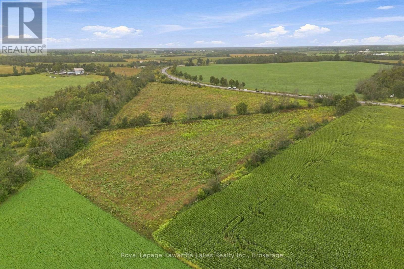 Pt Lt 10 8 Concession, Kawartha Lakes (Ops), Ontario  K0L 2X0 - Photo 11 - X13745282