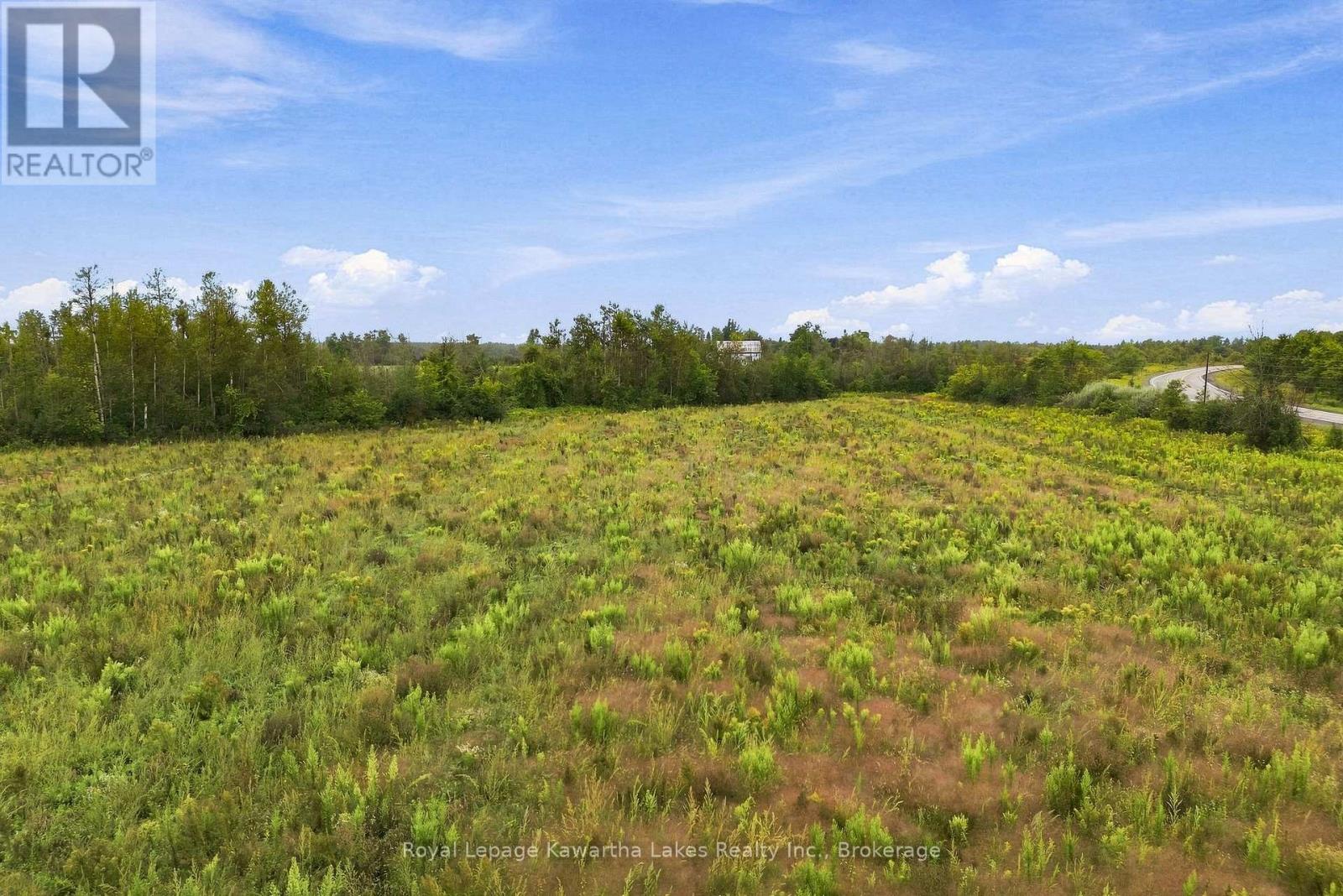 Pt Lt 10 8 Concession, Kawartha Lakes (Ops), Ontario  K0L 2X0 - Photo 8 - X13745282