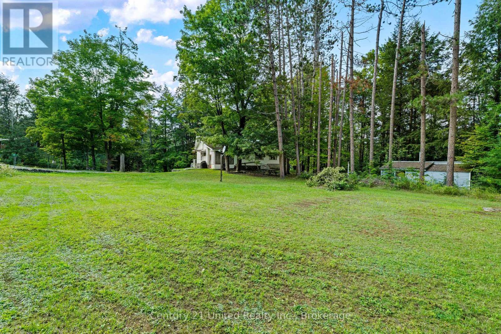 49 Mcfadden Road, North Kawartha, Ontario  K0L 1A0 - Photo 3 - X13745800