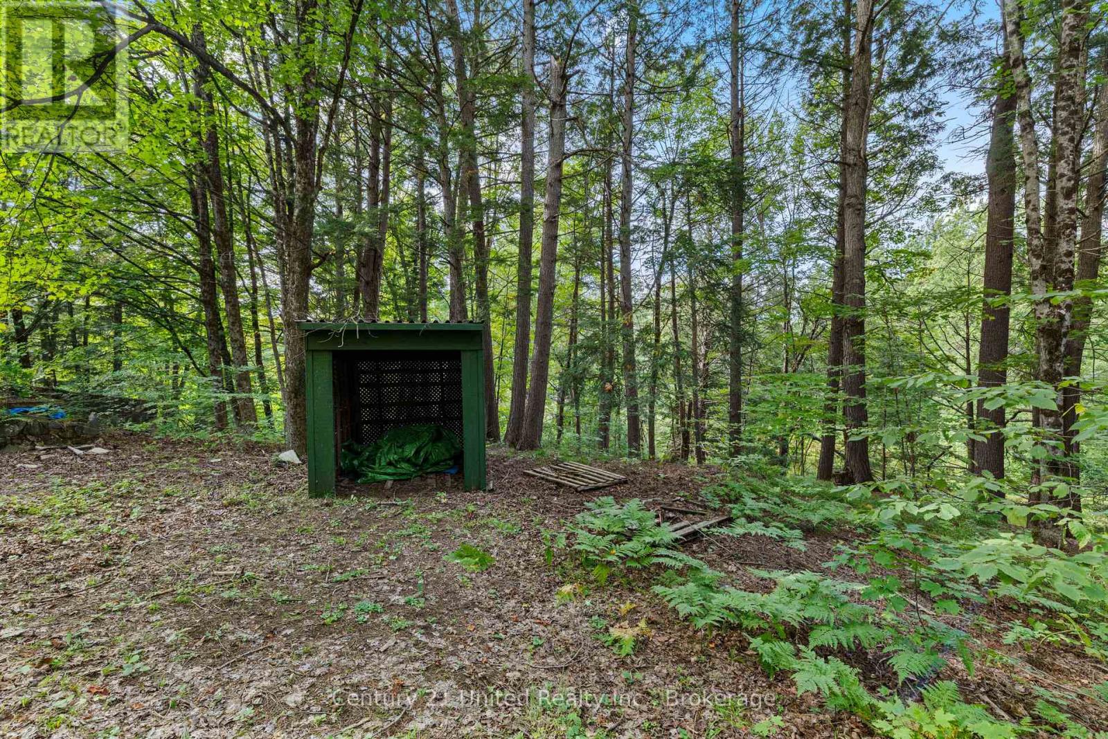 49 Mcfadden Road, North Kawartha, Ontario  K0L 1A0 - Photo 33 - X13745800