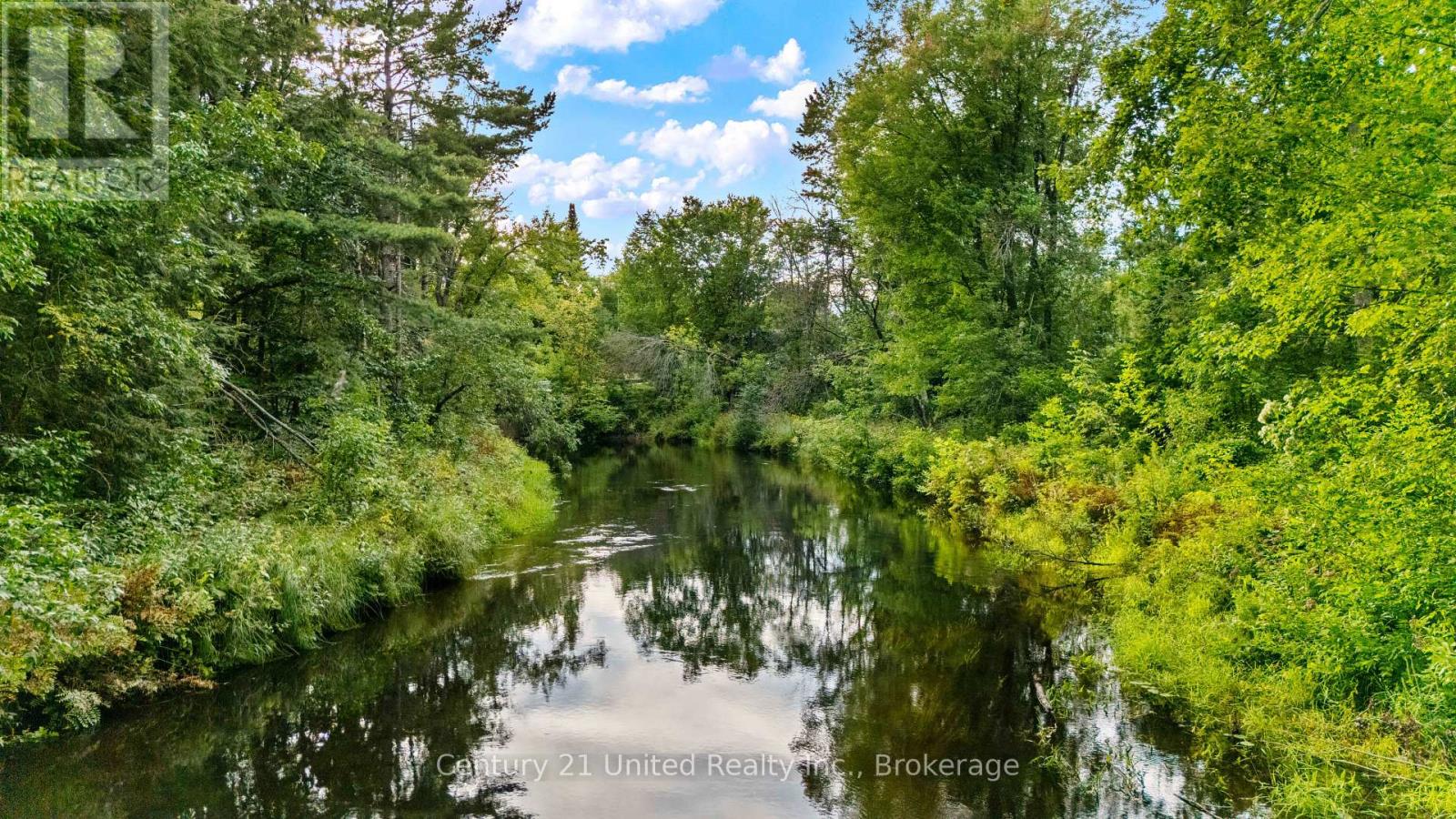 49 Mcfadden Road, North Kawartha, Ontario  K0L 1A0 - Photo 34 - X13745800