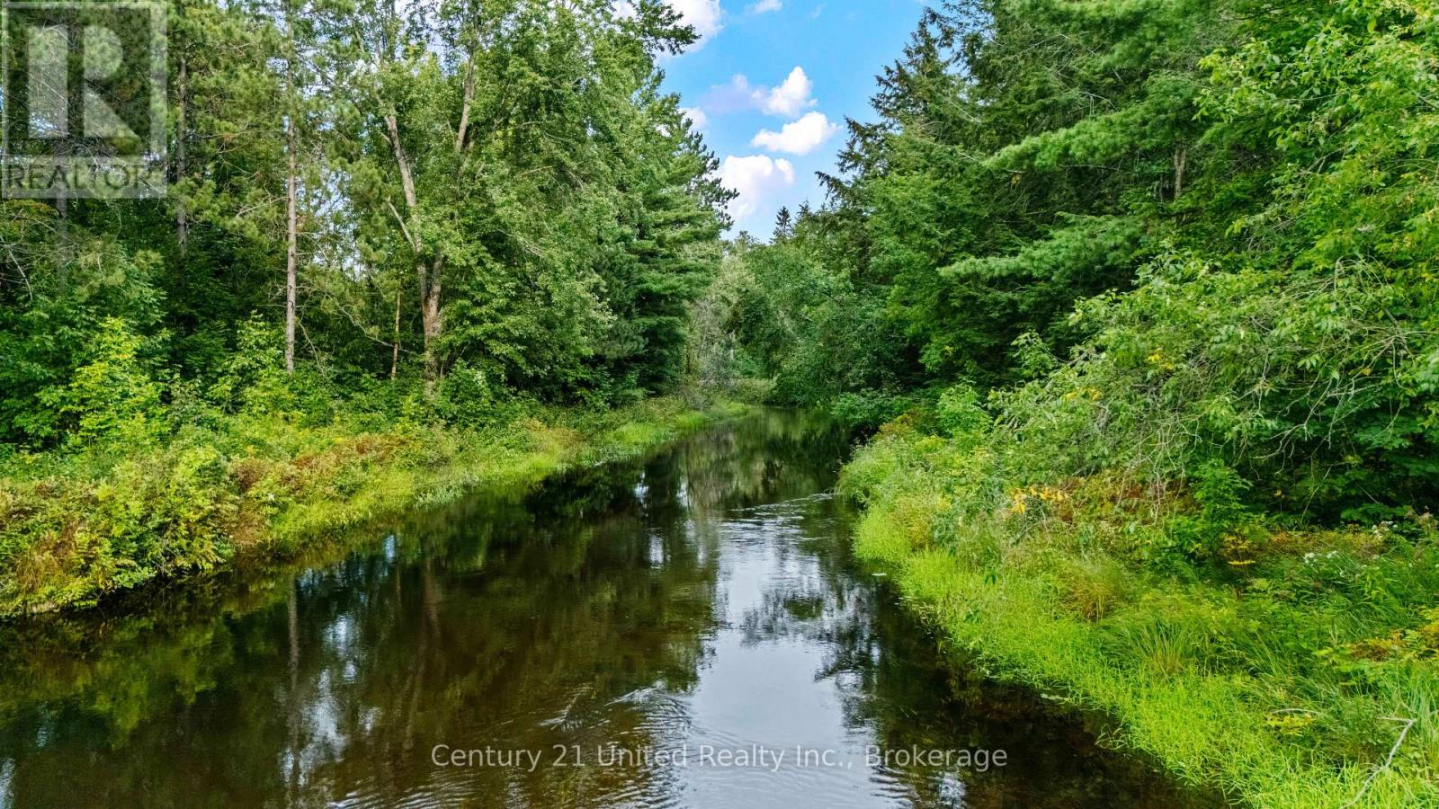 49 Mcfadden Road, North Kawartha, Ontario  K0L 1A0 - Photo 35 - X13745800