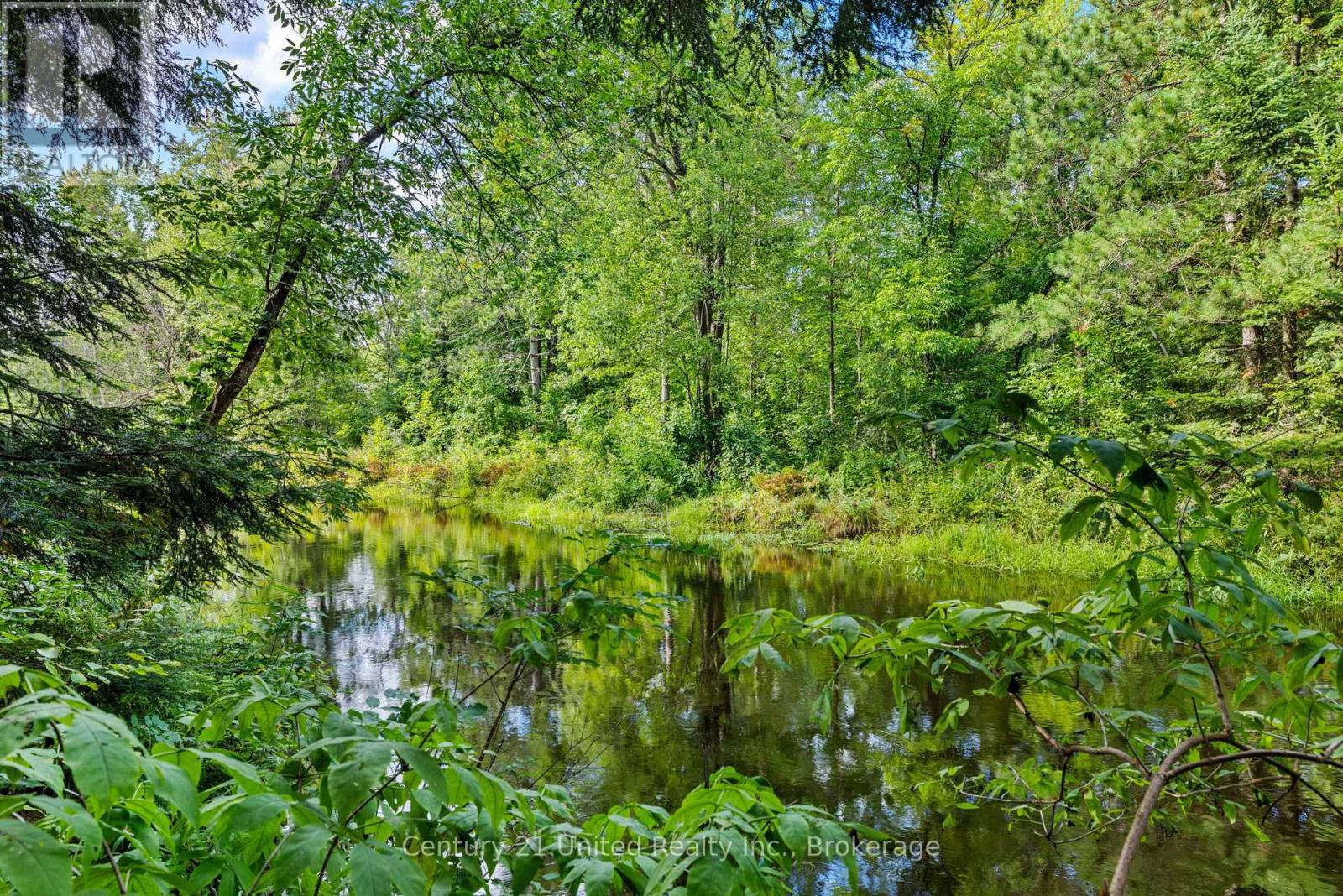 49 Mcfadden Road, North Kawartha, Ontario  K0L 1A0 - Photo 5 - X13745800