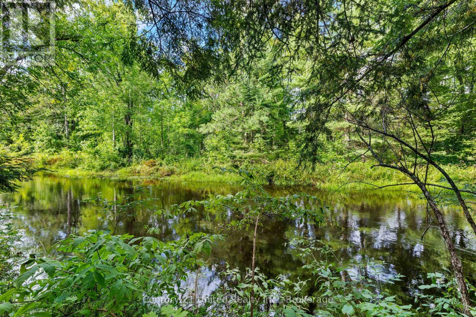49 Mcfadden Road, North Kawartha, Ontario  K0L 1A0 - Photo 6 - X13745800