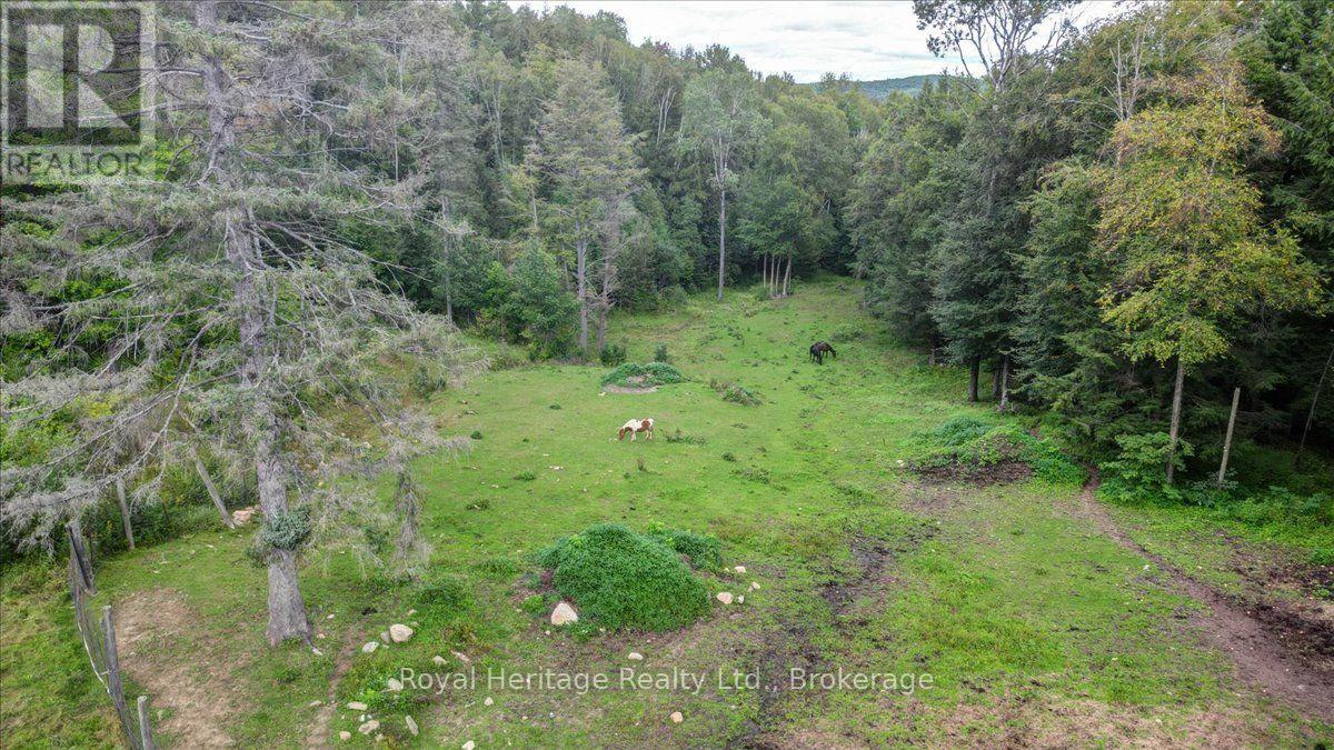 174 Bierworth Road, Faraday, Ontario  K0L 1C0 - Photo 43 - X13751594