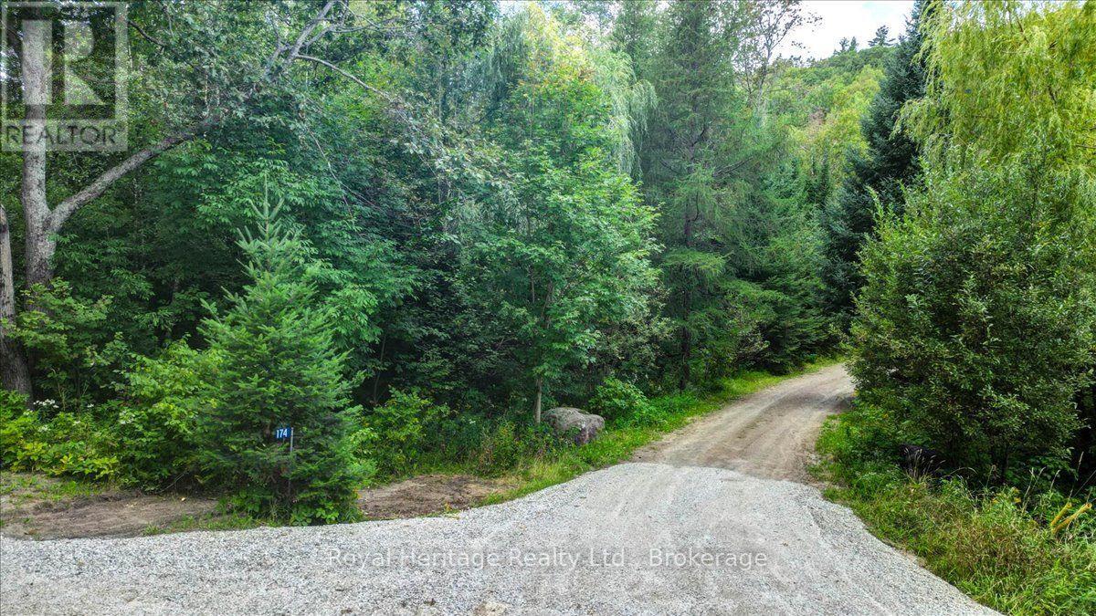 174 Bierworth Road, Faraday, Ontario  K0L 1C0 - Photo 44 - X13751594