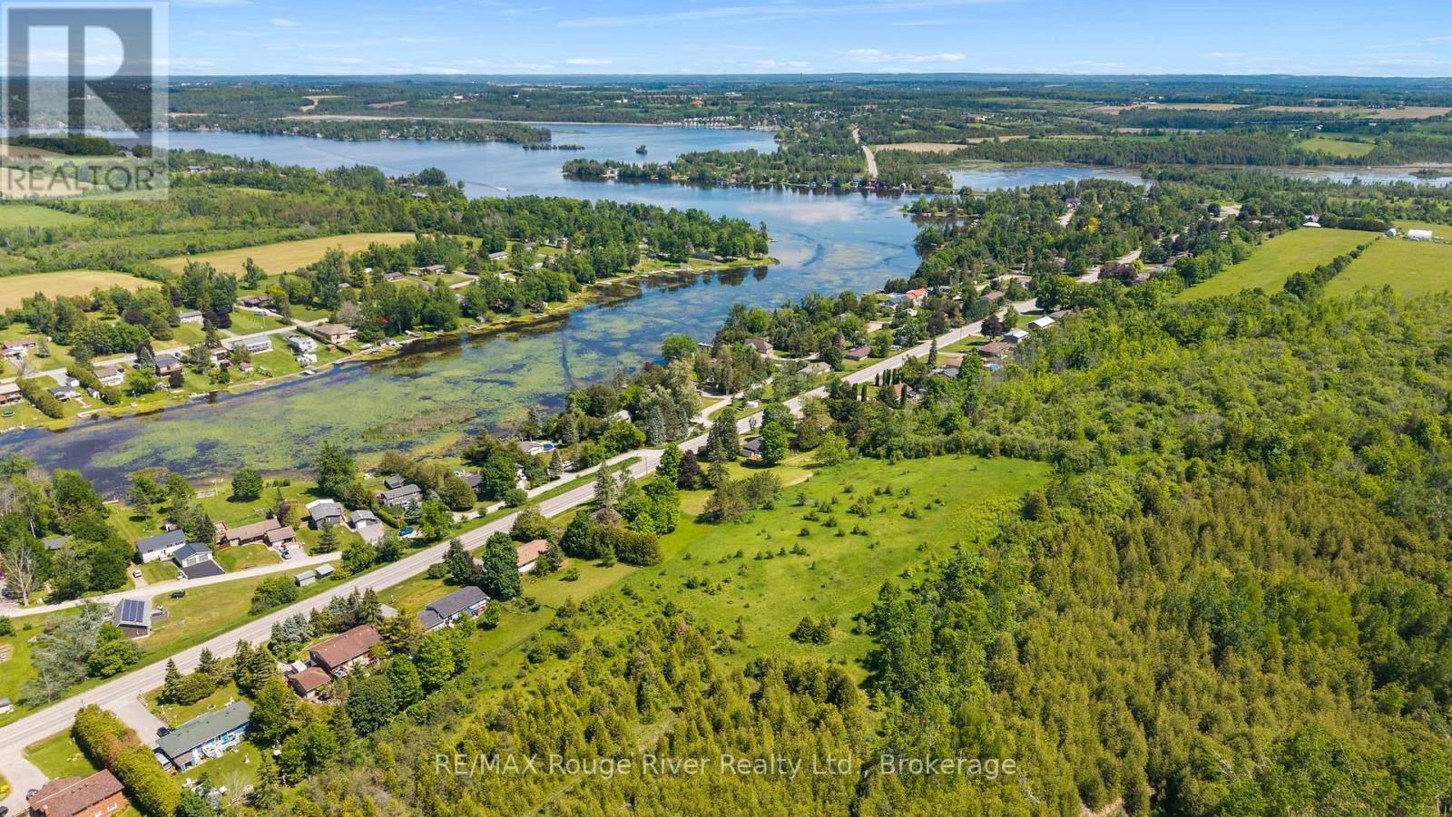 0 Frank Hill Road, Kawartha Lakes (Emily), Ontario  K9J 6X3 - Photo 13 - X13752270
