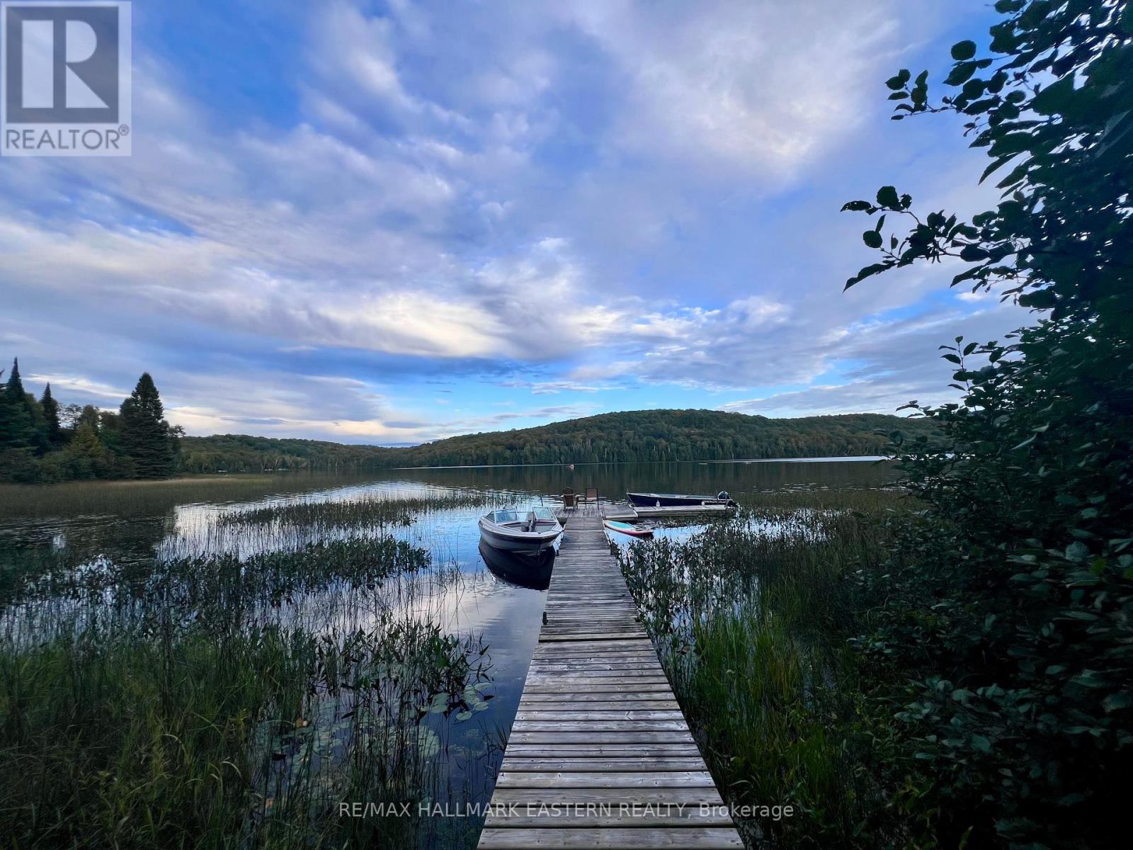 0 Albion Lake Drive, Faraday, Ontario  K0L 1C0 - Photo 12 - X13752414