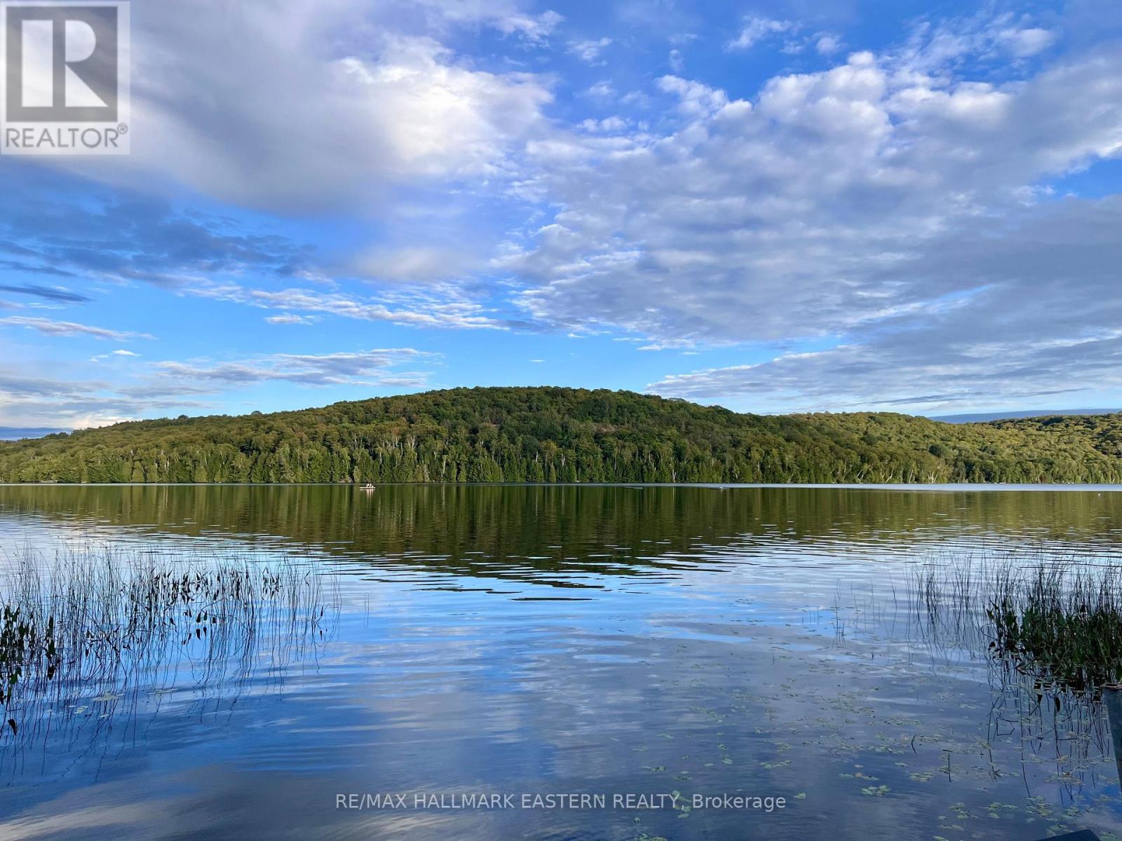 0 Albion Lake Drive, Faraday, Ontario  K0L 1C0 - Photo 13 - X13752414