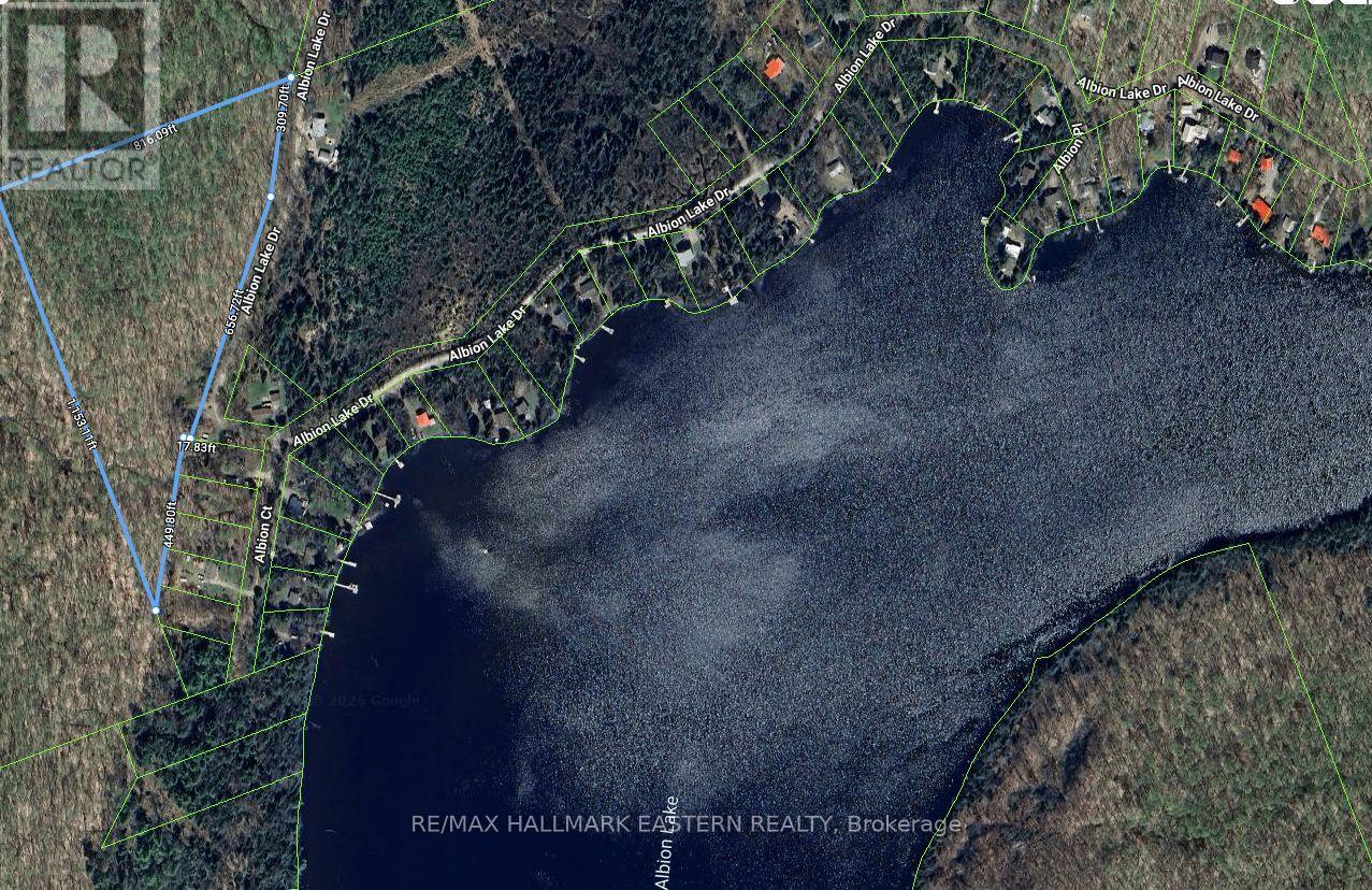 0 Albion Lake Drive, Faraday, Ontario  K0L 1C0 - Photo 5 - X13752414