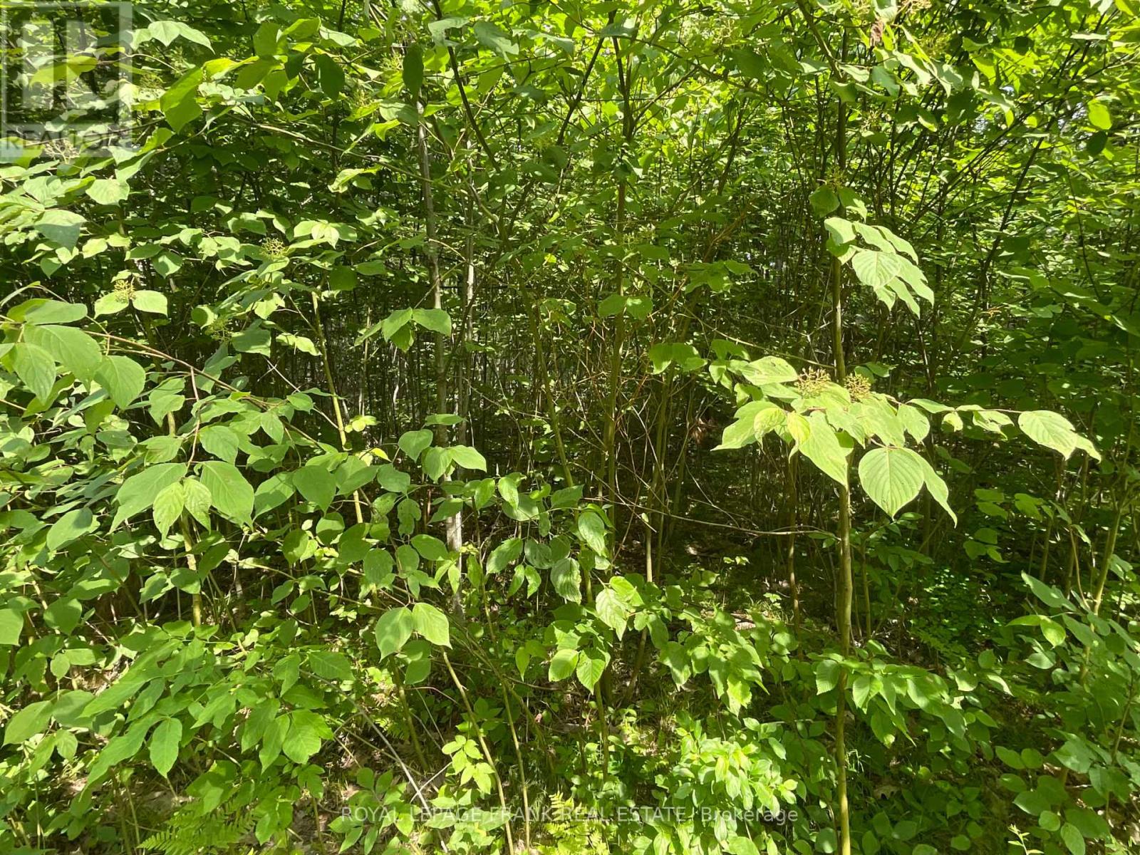 0 SUGARBUSH CRESCENT, trent lakes, Ontario