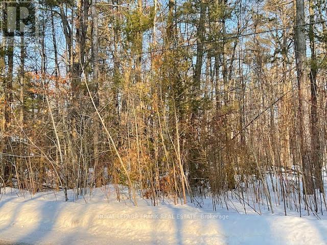 0 Sugarbush Crescent, Trent Lakes, Ontario  K0L 1J0 - Photo 10 - X13753104
