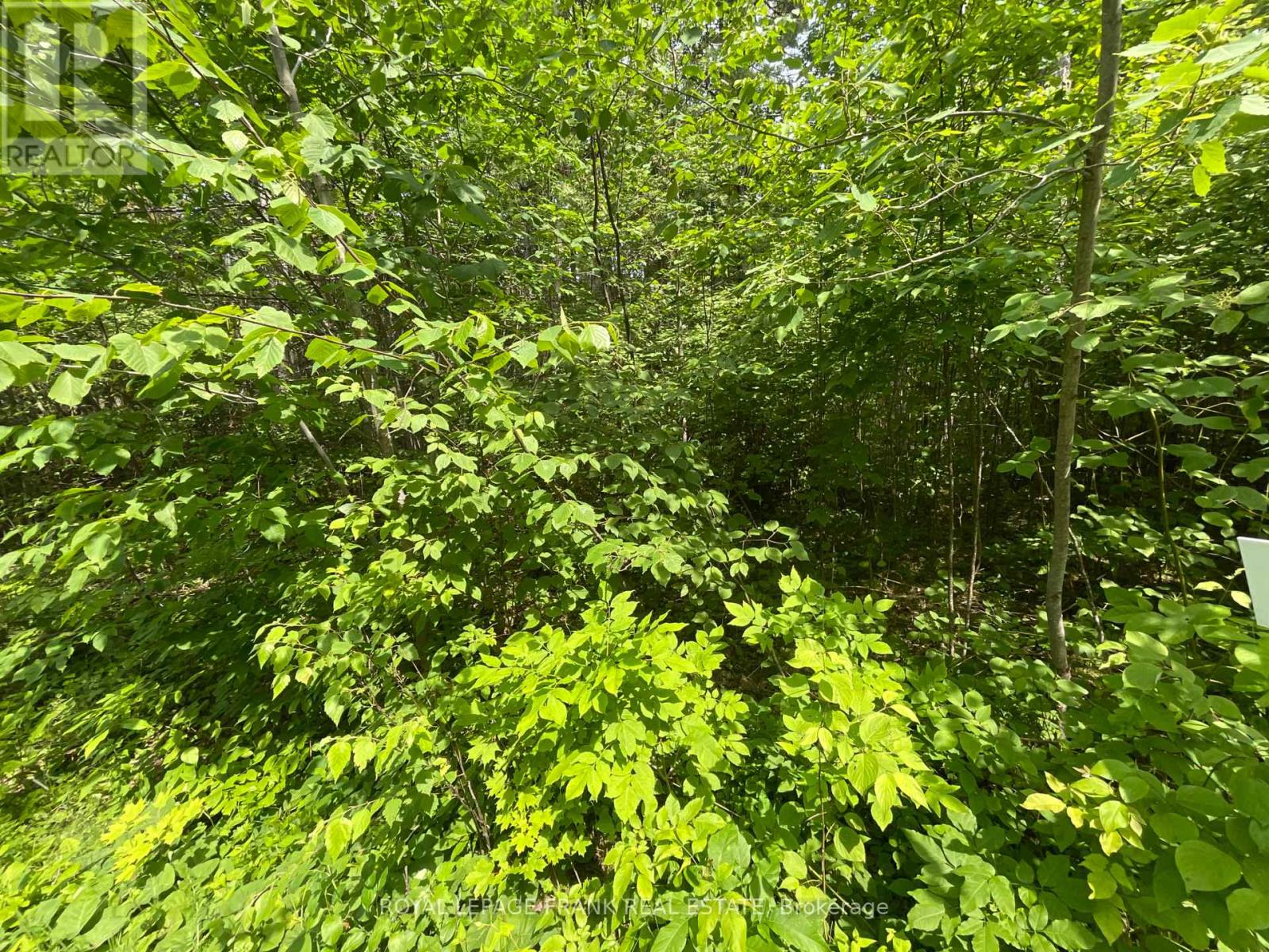 0 Sugarbush Crescent, Trent Lakes, Ontario  K0L 1J0 - Photo 2 - X13753104
