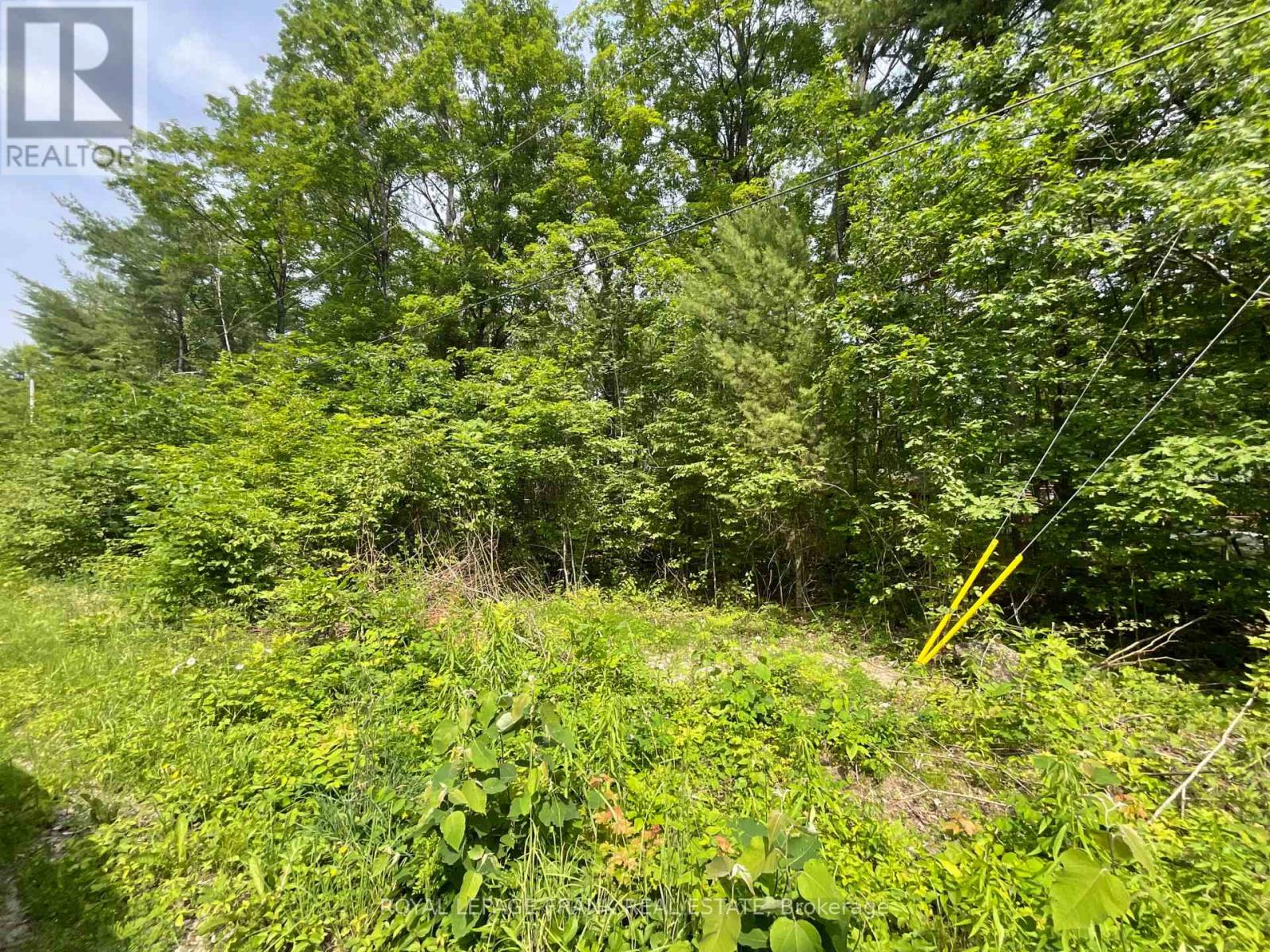 0 Sugarbush Crescent, Trent Lakes, Ontario  K0L 1J0 - Photo 4 - X13753104